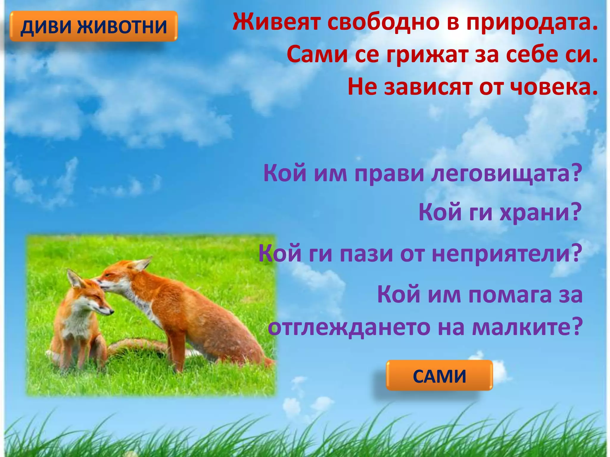 ДИВИ ЖИВОТНИ   Живеят свободно в природата.
                  Сами се грижат за себе си.
                        Не зависят от човека.


                 Кой им прави леговищата?
                             Кой ги храни?
                 Кой ги пази от неприятели?
                         Кой им помага за
                 отглеждането на малките?
                             САМИ
 