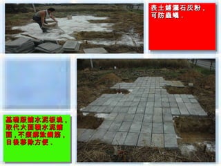 表土鋪灑石灰粉 ,,
                表土鋪灑石灰粉
                可防蟲蟻 ..
                可防蟲蟻




基礎版鋪水泥板塊 ,,
基礎版鋪水泥板塊
取代大面積水泥鋪
取代大面積水泥鋪
面 ,,不須綁紮鋼筋 ,,
面 不須綁紮鋼筋
日後移除方便 ..
日後移除方便
 
