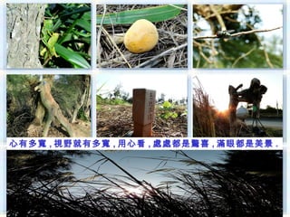 心有多寬 , 視野就有多寬 , 用心看 , 處處都是驚喜 , 滿眼都是美景 .
 