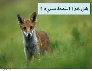 ‫ء ؟‬PG qF)4‫ا ا‬U- V-




13 ،()‫ا#$%، 9 '$(ا‬
 