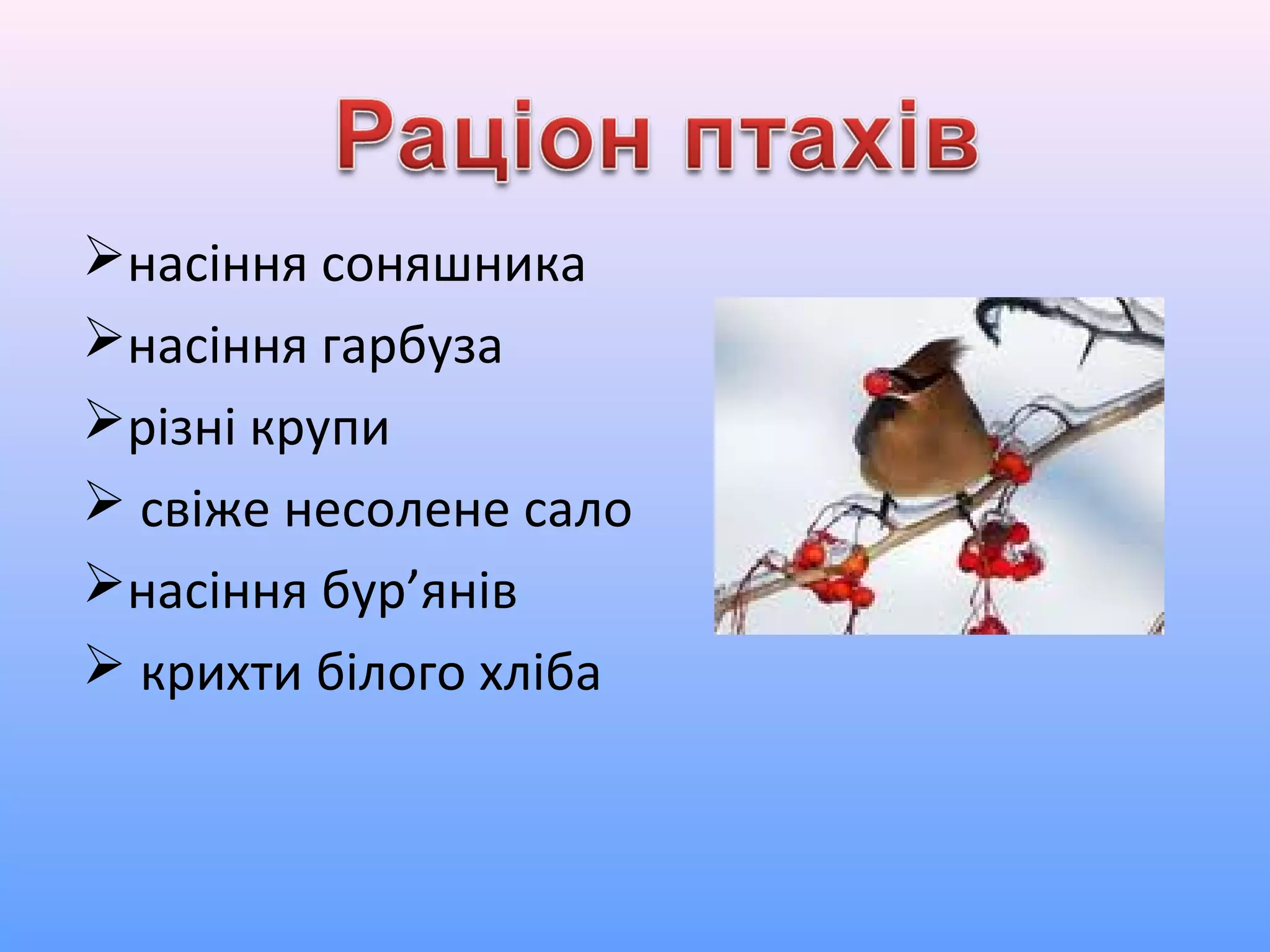 насіння соняшника
насіння гарбуза
різні крупи
 свіже несолене сало
насіння бур’янів
 крихти білого хліба
 