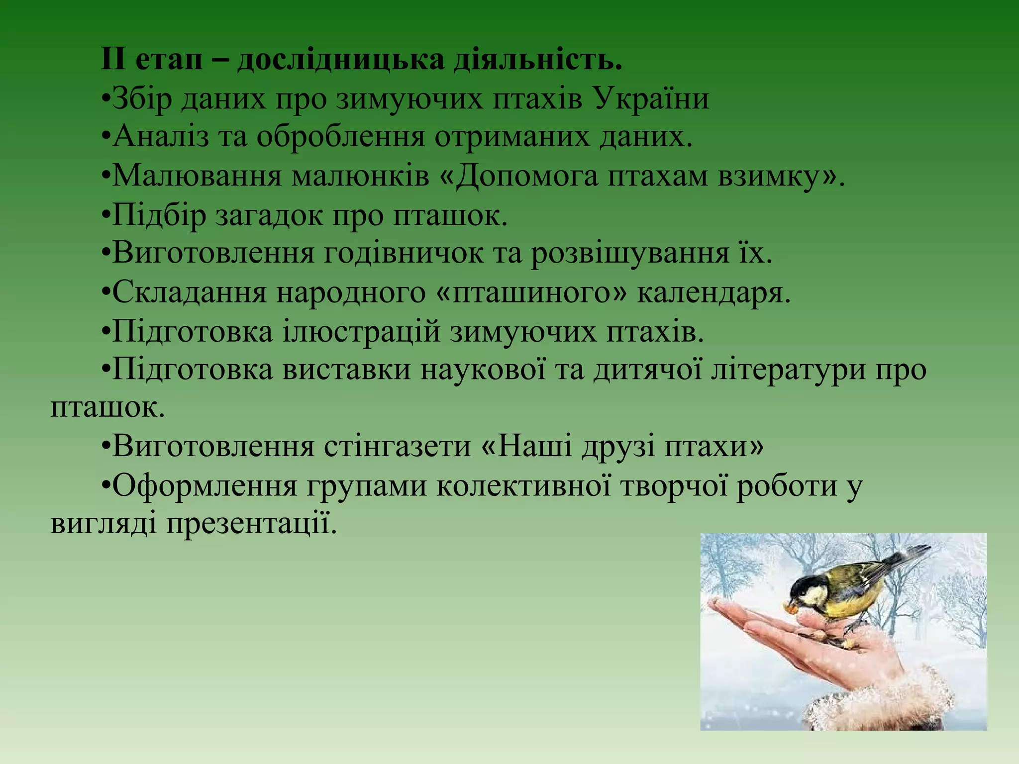 II етап – дослідницька діяльність.
   •Збір даних про зимуючих птахів України
   •Аналіз та оброблення отриманих даних.
   •Малювання малюнків «Допомога птахам взимку».
   •Підбір загадок про пташок.
   •Виготовлення годівничок та розвішування їх.
   •Складання народного «пташиного» календаря.
   •Підготовка ілюстрацій зимуючих птахів.
   •Підготовка виставки наукової та дитячої літератури про
пташок.
   •Виготовлення стінгазети «Наші друзі птахи»
   •Оформлення групами колективної творчої роботи у
вигляді презентації.
 