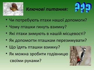 Ключові питання:

•   Чи потребують птахи нашої допомоги?
•   Чому пташки гинуть взимку?
•   Які птахи зимують в нашій місцевості?
•   Як допомогти пташкам перезимувати?
•   Що їдять пташки взимку?
•   Як можна зробити годівницю
    своїми руками?
 