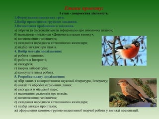 Етапи проекту:
                              I етап - допроектна діяльність.
1.Формування проектних груп.
2.Вибір проектними групами завдання.
3.Визначення проблемного завдання.
а) зібрати та систематизувати інформацію про зимуючих пташок;
б) намалювати малюнки «Допомога птахам взимку»,
в) виготовлення годівничок;
г) складання народного «пташиного» календаря;
д) підбір загадок про птахів.
4. Вибір методів дослідження:
а) робота з книгою;
б) робота в Інтернеті;
в) екскурсія;
г) творча лабораторія;
д) консультативна робота.
5. Розробка плану дослідження:
а) збір даних з використанням наукової літератури, Інтернету;
б) аналіз та обробка отриманих даних;
в) екскурсія в місцевий парк;
г) малювання малюнків про птахів;
д) виготовлення годівничок;
е) складання народного «пташиного» календаря;
є) підбір загадок про птахів;
ж) оформлення кожною групою колективної творчої роботи у вигляді презентації.
 