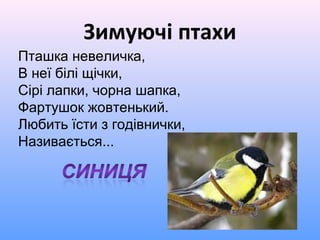 Зимуючі птахи
Пташка невеличка,
В неї білі щічки,
Сірі лапки, чорна шапка,
Фартушок жовтенький.
Любить їсти з годівнички,
Називається...
 