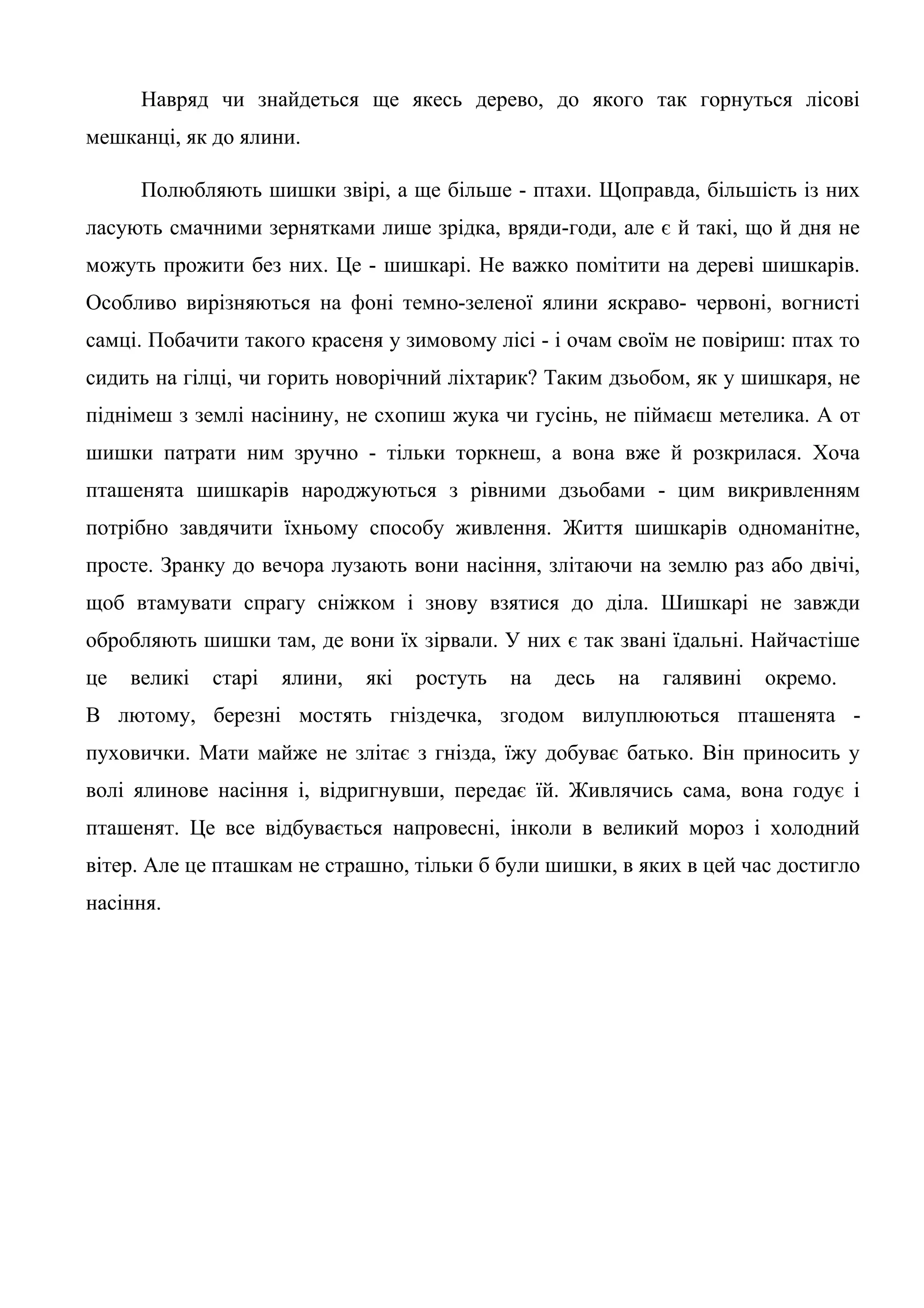 Навряд чи знайдеться ще якесь дерево, до якого так горнуться лісові
мешканці, як до ялини.

      Полюбляють шишки звірі, а ще більше - птахи. Щоправда, більшість із них
ласують смачними зернятками лише зрідка, вряди-годи, але є й такі, що й дня не
можуть прожити без них. Це - шишкарі. Не важко помітити на дереві шишкарів.
Особливо вирізняються на фоні темно-зеленої ялини яскраво- червоні, вогнисті
самці. Побачити такого красеня у зимовому лісі - і очам своїм не повіриш: птах то
сидить на гілці, чи горить новорічний ліхтарик? Таким дзьобом, як у шишкаря, не
піднімеш з землі насінину, не схопиш жука чи гусінь, не піймаєш метелика. А от
шишки патрати ним зручно - тільки торкнеш, а вона вже й розкрилася. Хоча
пташенята шишкарів народжуються з рівними дзьобами - цим викривленням
потрібно завдячити їхньому способу живлення. Життя шишкарів одноманітне,
просте. Зранку до вечора лузають вони насіння, злітаючи на землю раз або двічі,
щоб втамувати спрагу сніжком і знову взятися до діла. Шишкарі не завжди
обробляють шишки там, де вони їх зірвали. У них є так звані їдальні. Найчастіше
це   великі   старі   ялини,   які   ростуть   на   десь   на   галявині   окремо.
В лютому, березні мостять гніздечка, згодом вилуплюються пташенята -
пуховички. Мати майже не злітає з гнізда, їжу добуває батько. Він приносить у
волі ялинове насіння і, відригнувши, передає їй. Живлячись сама, вона годує і
пташенят. Це все відбувається напровесні, інколи в великий мороз і холодний
вітер. Але це пташкам не страшно, тільки б були шишки, в яких в цей час достигло
насіння.
 