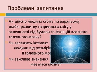 Проблемні запитання

 Чи дійсно людина стоїть на верхньому
  щаблі розвитку тваринного світу у
  залежності від будови та функцій власного
  головного мозку?
 Чи залежить інтелект

    людини від розмірів
         її головного мозку?
 Чи важливе значення

               має маса мозку?
 