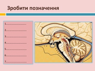 Зробити позначення

1…………………………...

2…………………………….

3…………………………….

4…………………………….

5…………………………….

6…………………………….

7…………………………….
 