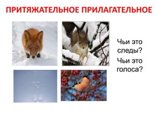 ПРИТЯЖАТЕЛЬНОЕ ПРИЛАГАТЕЛЬНОЕ


                     Чьи это
                     следы?
                     Чьи это
                     голоса?
 