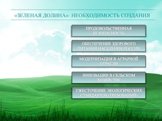зеленая долина | PPT