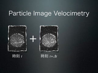 Particle Image Velocimetry



        +
 r t       r t+t
 