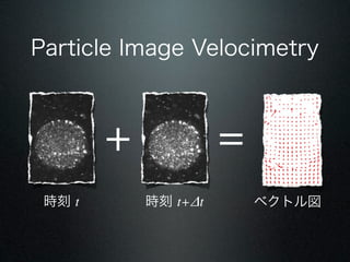Particle Image Velocimetry



        +             =
 r t       r t+t       ٥ȥ
 