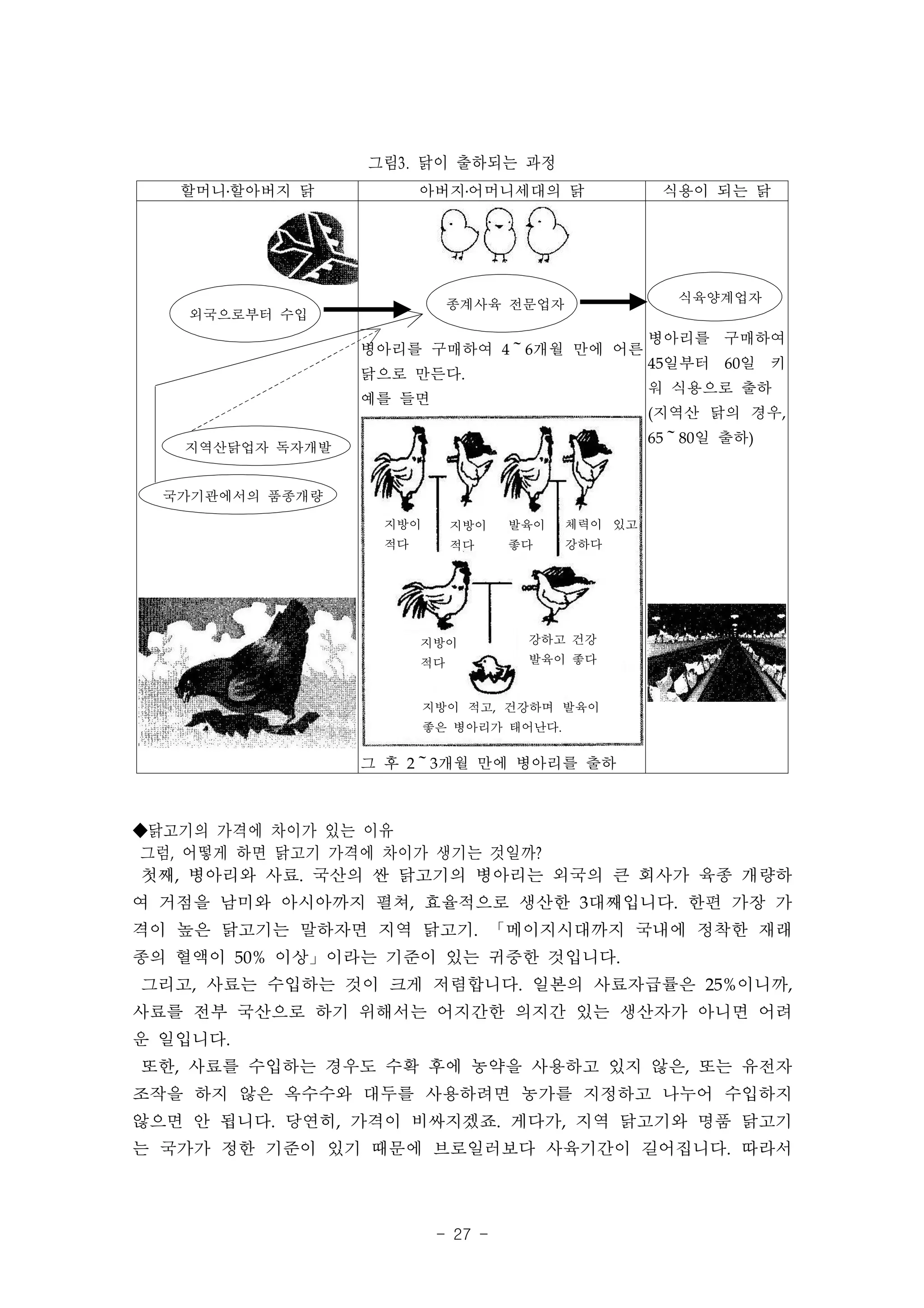 그림3. 닭이 출하되는 과정
   할머니․할아버지 닭          아버지․어머니세대의 닭               식용이 되는 닭




                            종계사육 전문업자              식육양계업자
    외국으로부터 수입
                                                 병아리를 구매하여
                 병아리를 구매하여 4～6개월 만에 어른
                                                 45일부터 60일 키
                 닭으로 만든다.
                                                 워 식용으로 출하
                 예를 들면
                                                 (지역산 닭의 경우,
                                                 65～80일 출하)
   지역산닭업자 독자개발


  국가기관에서의 품종개량
                  지방이       지방이   발육이   체력이 있고
                  적다        적다    좋다    강하다




                       지방이         강하고 건강
                       적다          발육이 좋다


                        지방이 적고, 건강하며 발육이
                        좋은 병아리가 태어난다.

                 그 후 2～3개월 만에 병아리를 출하



◆닭고기의 가격에 차이가 있는 이유
그럼, 어떻게 하면 닭고기 가격에 차이가 생기는 것일까?
 첫째, 병아리와 사료. 국산의 싼 닭고기의 병아리는 외국의 큰 회사가 육종 개량하
여 거점을 남미와 아시아까지 펼쳐, 효율적으로 생산한 3대째입니다. 한편 가장 가
격이 높은 닭고기는 말하자면 지역 닭고기. 「메이지시대까지 국내에 정착한 재래
종의 혈액이 50% 이상」이라는 기준이 있는 귀중한 것입니다.
그리고, 사료는 수입하는 것이 크게 저렴합니다. 일본의 사료자급률은 25%이니까,
사료를 전부 국산으로 하기 위해서는 어지간한 의지간 있는 생산자가 아니면 어려
운 일입니다.
또한, 사료를 수입하는 경우도 수확 후에 농약을 사용하고 있지 않은, 또는 유전자
조작을 하지 않은 옥수수와 대두를 사용하려면 농가를 지정하고 나누어 수입하지
않으면 안 됩니다. 당연히, 가격이 비싸지겠죠. 게다가, 지역 닭고기와 명품 닭고기
는 국가가 정한 기준이 있기 때문에 브로일러보다 사육기간이 길어집니다. 따라서



                         - 27 -
 