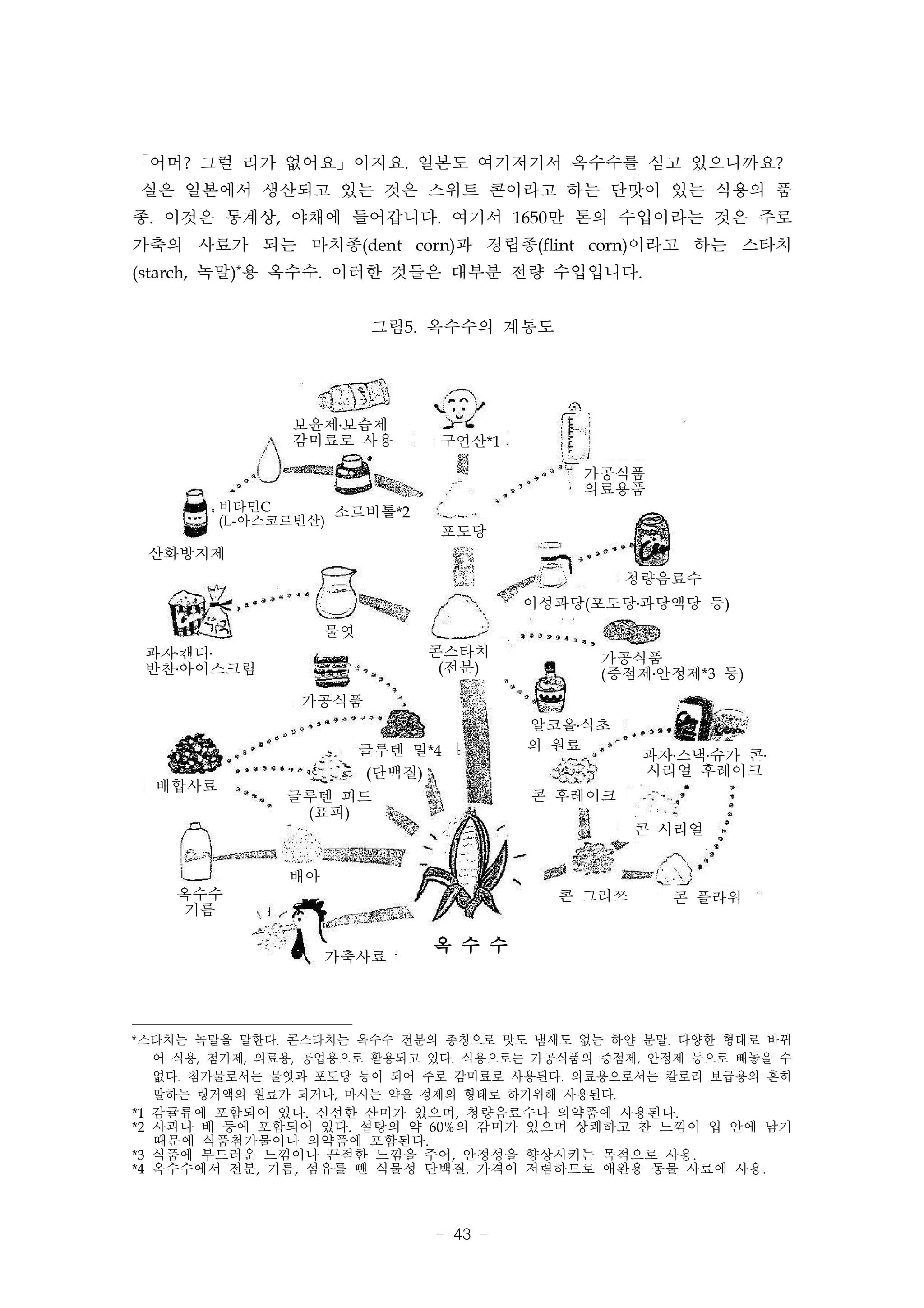 「어머? 그럴 리가 없어요」이지요. 일본도 여기저기서 옥수수를 심고 있으니까요?
실은 일본에서 생산되고 있는 것은 스위트 콘이라고 하는 단맛이 있는 식용의 품
종. 이것은 통계상, 야채에 들어갑니다. 여기서 1650만 톤의 수입이라는 것은 주로
가축의 사료가 되는 마치종(dent corn)과 경립종(flint corn)이라고 하는 스타치
(starch, 녹말)*용 옥수수. 이러한 것들은 대부분 전량 수입입니다.


                          그림5. 옥수수의 계통도




               보윤제․보습제
               감미료로 사용         구연산*1

                                            가공식품
                                            의료용품
         비타민C       소르비톨*2
         (L-아스코르빈산)
                               포도당
 산화방지제
                                                 청량음료수
                                        이성과당(포도당․과당액당 등)
                    물엿
 과자․캔디․                       콘스타치
 반찬․아이스크림
                                              가공식품
                               (전분)           (증점제․안정제*3 등)
                가공식품
                                        알코올․식초
                                                  과자․스낵․슈가 콘․
                         글루텐 밀*4        의 원료
                          (단백질)                   시리얼 후레이크
  배합사료
               글루텐 피드                   콘 후레이크
                (표피)
                                                  콘 시리얼


               배아
    옥수수                                   콘 그리쯔     콘 플라워
    기름

                               옥 수 수
                    가축사료




*스타치는 녹말을 말한다. 콘스타치는 옥수수 전분의 총칭으로 맛도 냄새도 없는 하얀 분말. 다양한 형태로 바뀌
   어 식용, 첨가제, 의료용, 공업용으로 활용되고 있다. 식용으로는 가공식품의 증점제, 안정제 등으로 빼놓을 수
   없다. 첨가물로서는 물엿과 포도당 등이 되어 주로 감미료로 사용된다. 의료용으로서는 칼로리 보급용의 흔히
   말하는 링거액의 원료가 되거나, 마시는 약을 정제의 형태로 하기위해 사용된다.
*1 감귤류에 포함되어 있다. 신선한 산미가 있으며, 청량음료수나 의약품에 사용된다.
*2 사과나 배 등에 포함되어 있다. 설탕의 약 60%의 감미가 있으며 상쾌하고 찬 느낌이 입 안에 남기
   때문에 식품첨가물이나 의약품에 포함된다.
*3 식품에 부드러운 느낌이나 끈적한 느낌을 주어, 안정성을 향상시키는 목적으로 사용.
*4 옥수수에서 전분, 기름, 섬유를 뺀 식물성 단백질. 가격이 저렴하므로 애완용 동물 사료에 사용.



                               - 43 -
 