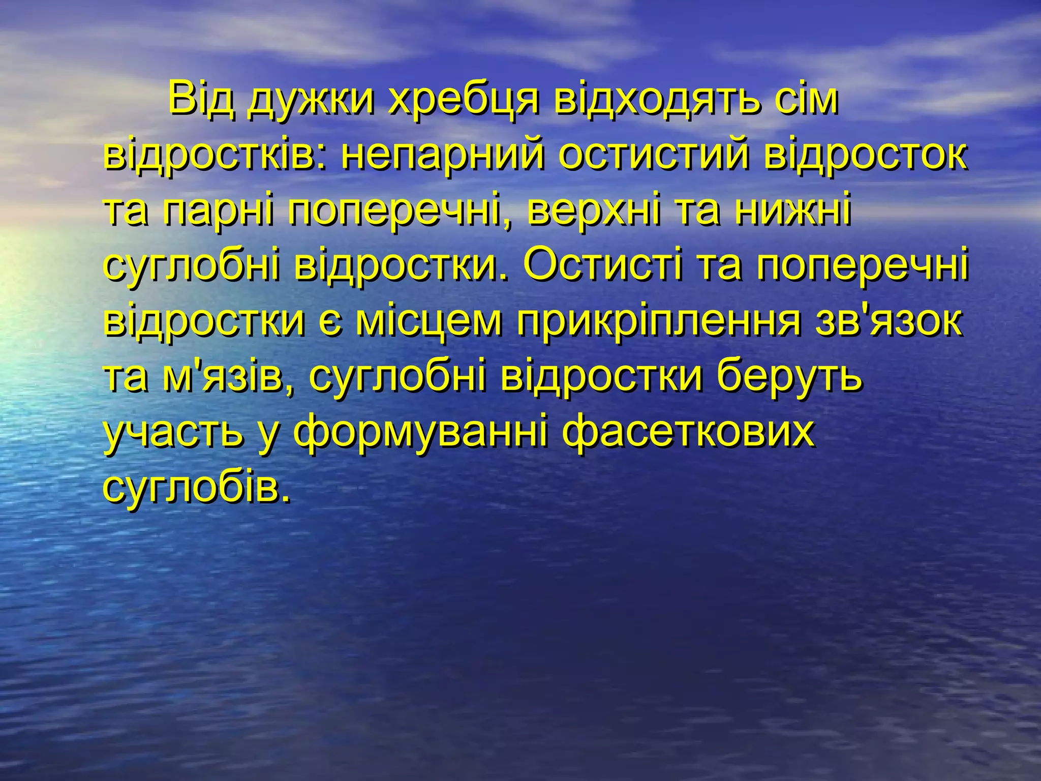 Від дужки хребця відходять сім
відростків: непарний остистий відросток
та парні поперечні, верхні та нижні
суглобні відростки. Остисті та поперечні
відростки є місцем прикріплення зв'язок
та м'язів, суглобні відростки беруть
участь у формуванні фасеткових
суглобів.
 