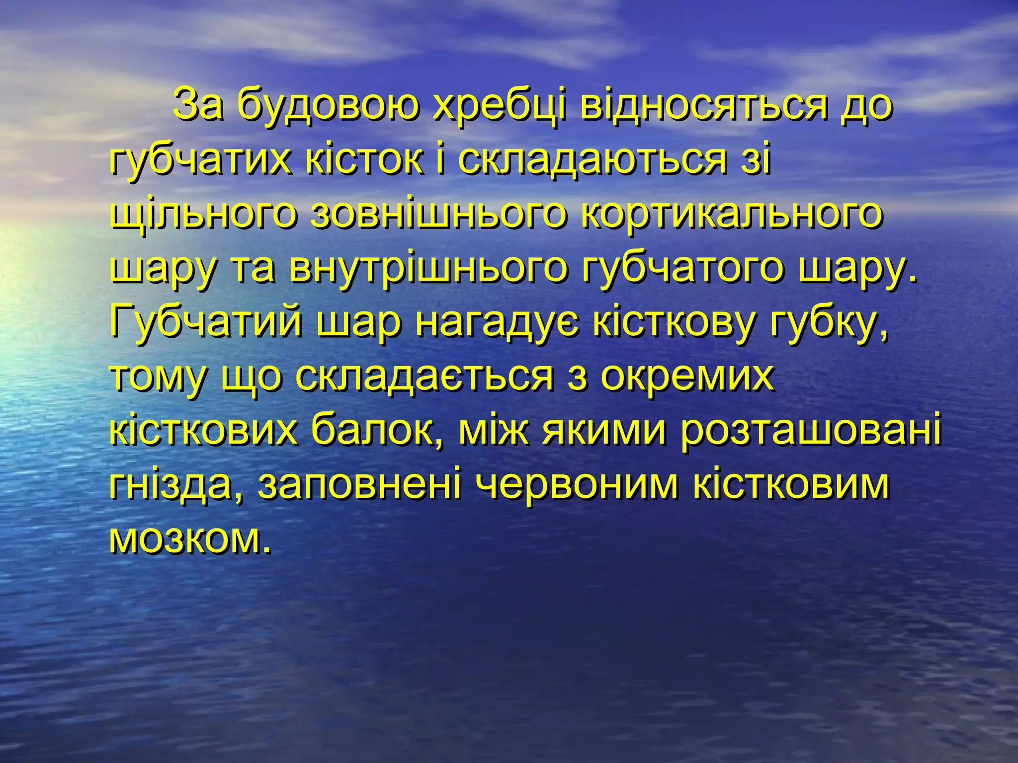 За будовою хребці відносяться до
губчатих кісток і складаються зі
щільного зовнішнього кортикального
шару та внутрішнього губчатого шару.
Губчатий шар нагадує кісткову губку,
тому що складається з окремих
кісткових балок, між якими розташовані
гнізда, заповнені червоним кістковим
мозком.
 