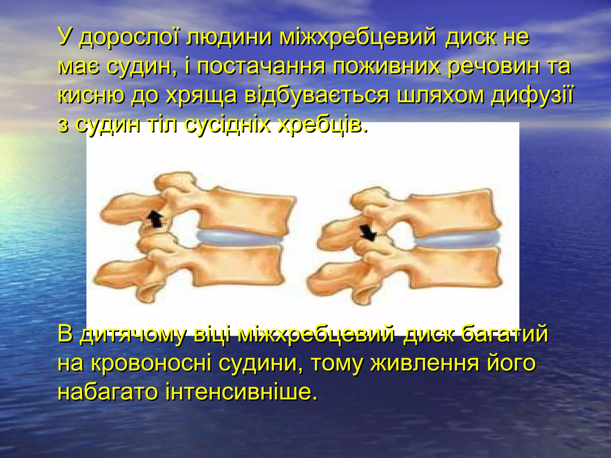 У дорослої людини міжхребцевий диск не
має судин, і постачання поживних речовин та
кисню до хряща відбувається шляхом дифузії
з судин тіл сусідніх хребців.




В дитячому віці міжхребцевий диск багатий
на кровоносні судини, тому живлення його
набагато інтенсивніше.
 