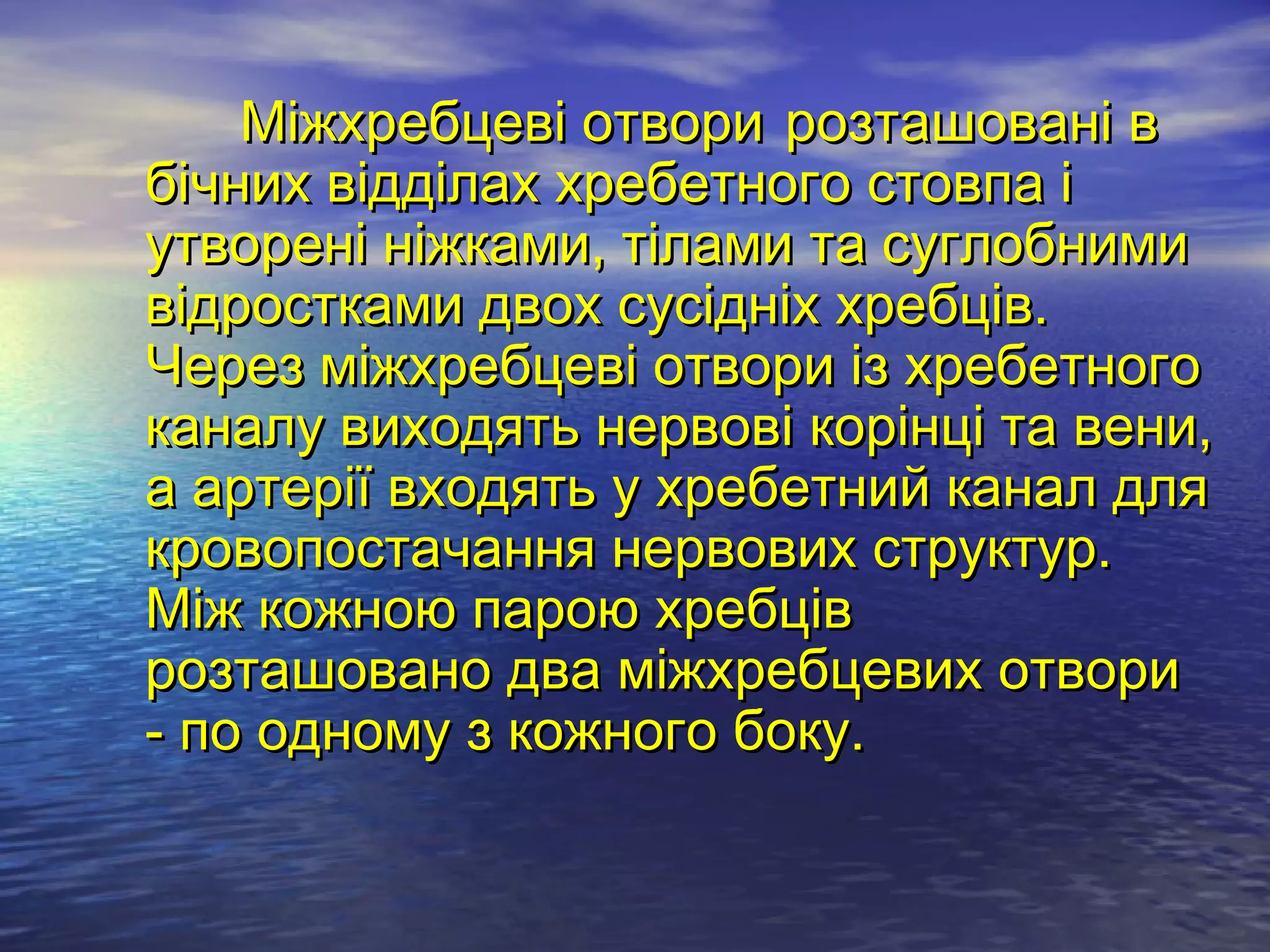 Міжхребцеві отвори розташовані в
бічних відділах хребетного стовпа і
утворені ніжками, тілами та суглобними
відростками двох сусідніх хребців.
Через міжхребцеві отвори із хребетного
каналу виходять нервові корінці та вени,
а артерії входять у хребетний канал для
кровопостачання нервових структур.
Між кожною парою хребців
розташовано два міжхребцевих отвори
- по одному з кожного боку.
 