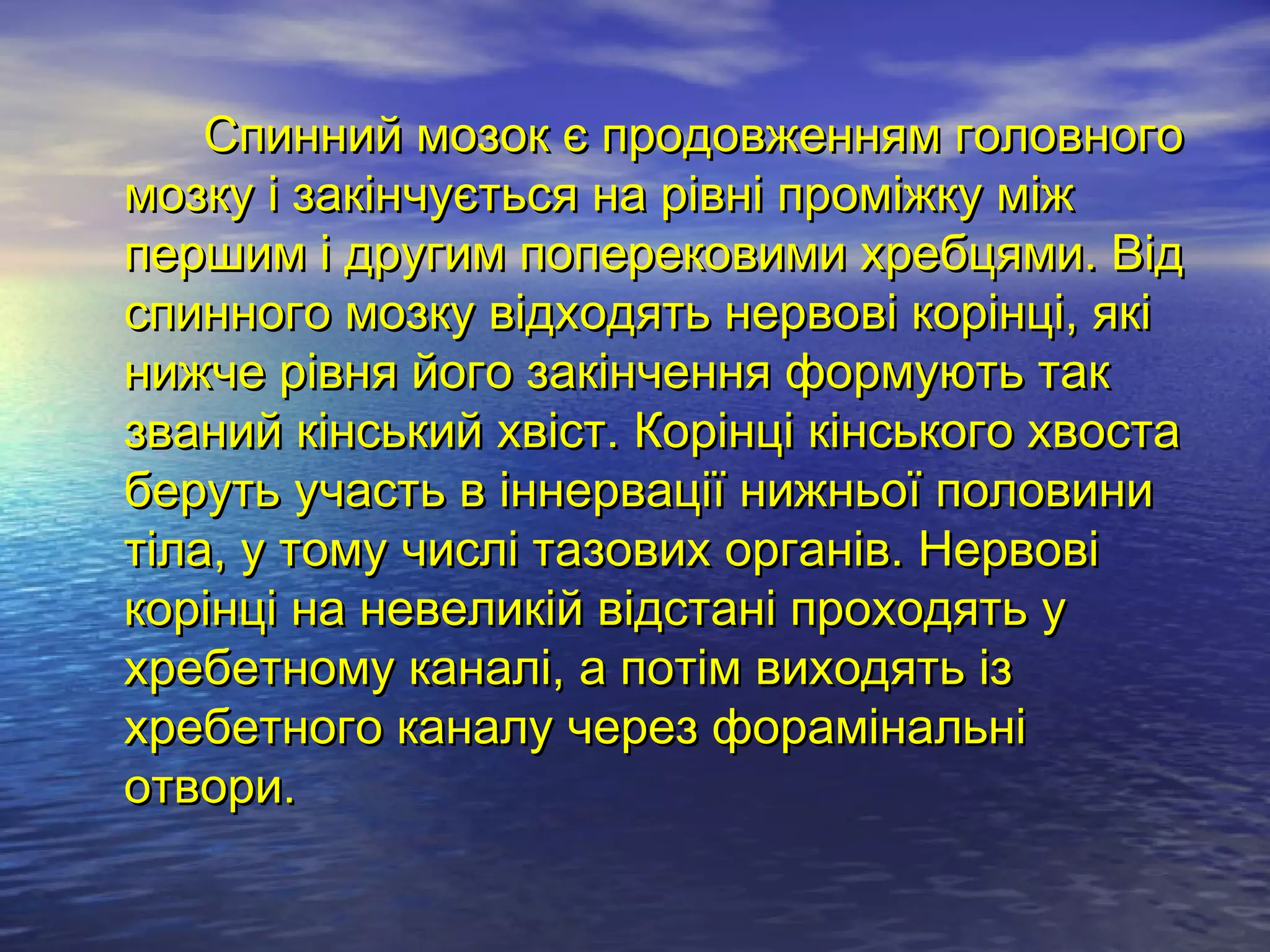 Спинний мозок є продовженням головного
мозку і закінчується на рівні проміжку між
першим і другим поперековими хребцями. Від
спинного мозку відходять нервові корінці, які
нижче рівня його закінчення формують так
званий кінський хвіст. Корінці кінського хвоста
беруть участь в іннервації нижньої половини
тіла, у тому числі тазових органів. Нервові
корінці на невеликій відстані проходять у
хребетному каналі, а потім виходять із
хребетного каналу через форамінальні
отвори.
 