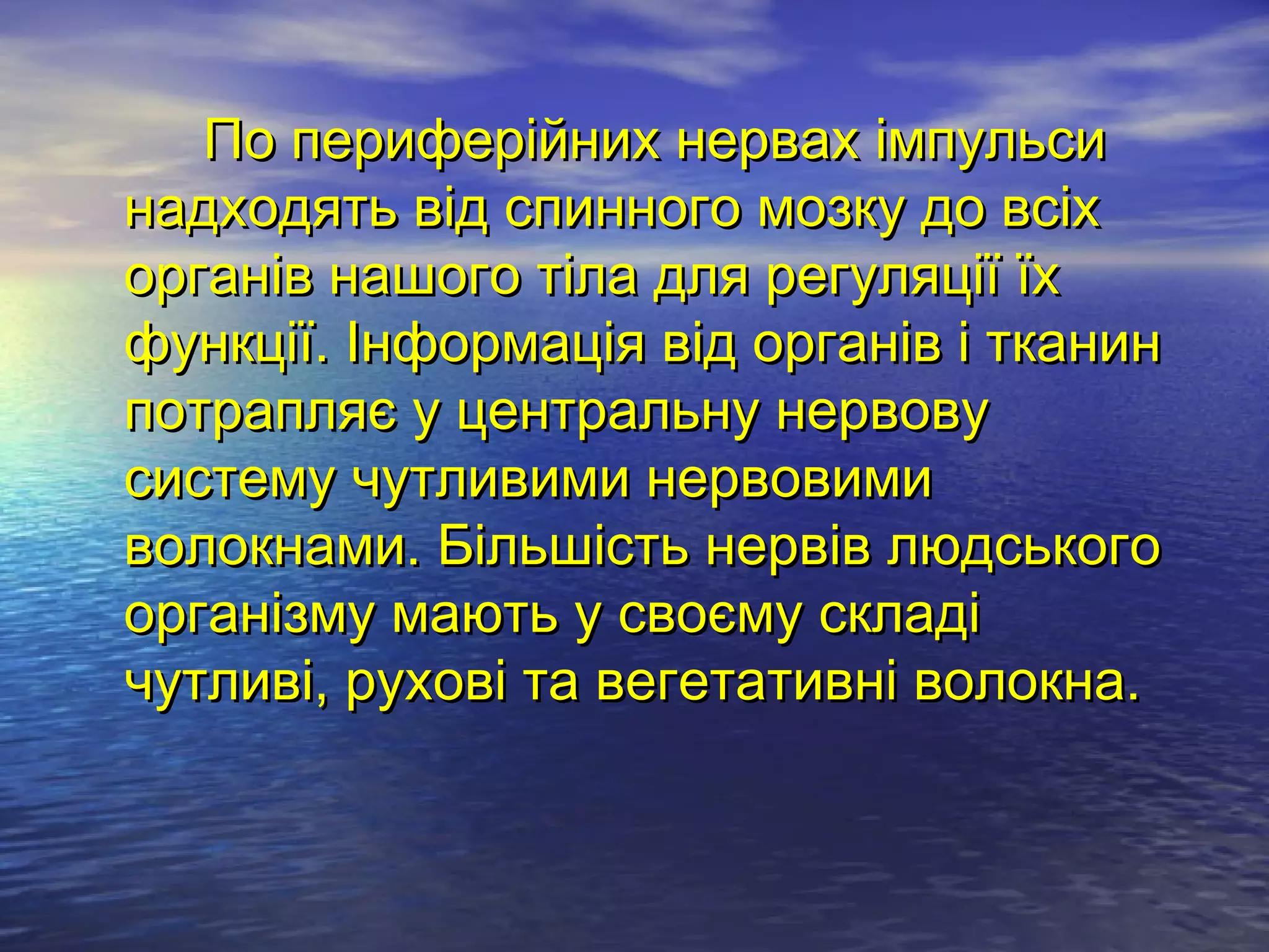 По периферійних нервах імпульси
надходять від спинного мозку до всіх
органів нашого тіла для регуляції їх
функції. Інформація від органів і тканин
потрапляє у центральну нервову
систему чутливими нервовими
волокнами. Більшість нервів людського
організму мають у своєму складі
чутливі, рухові та вегетативні волокна.
 