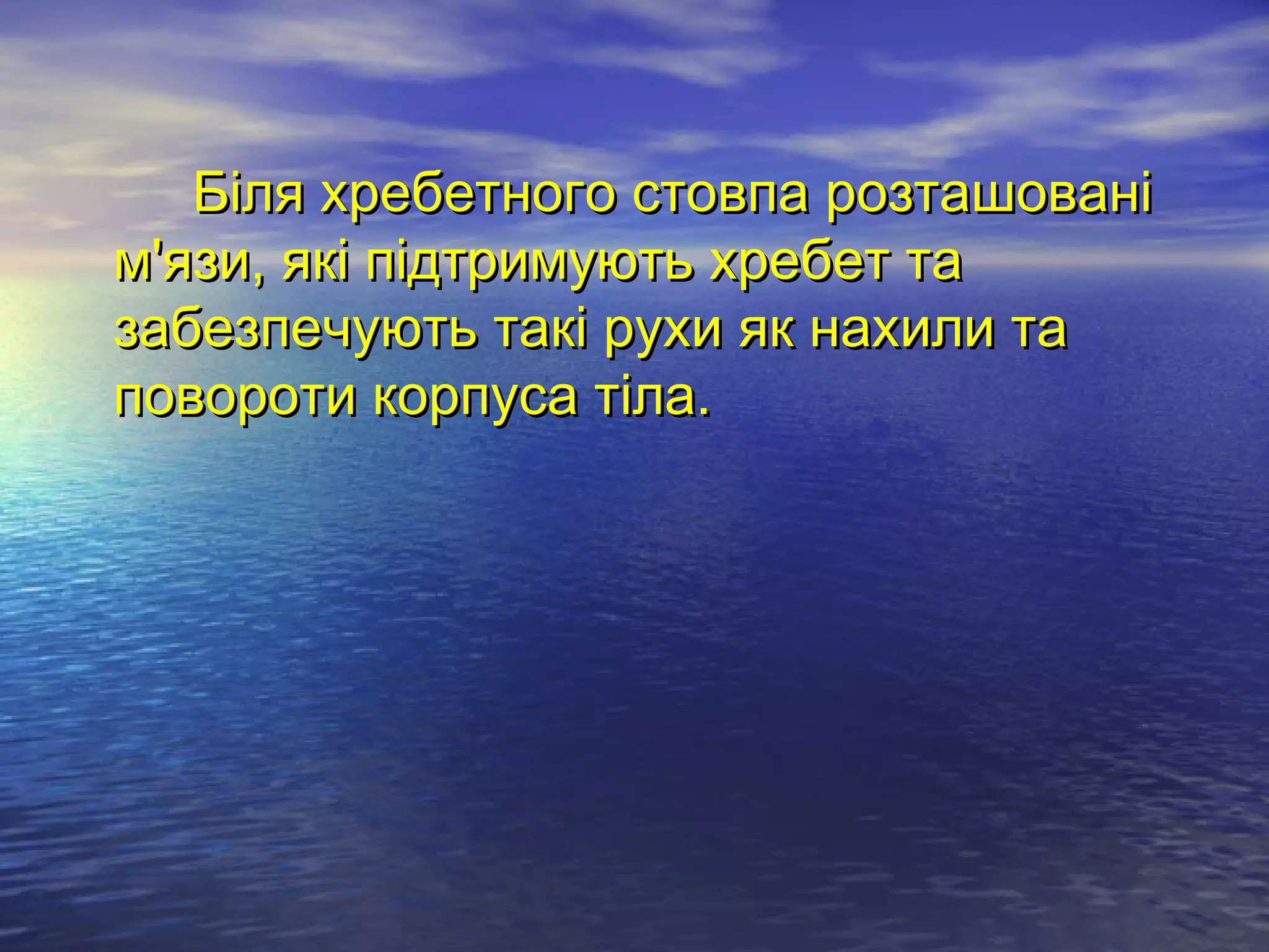 Біля хребетного стовпа розташовані
м'язи, які підтримують хребет та
забезпечують такі рухи як нахили та
повороти корпуса тіла.
 