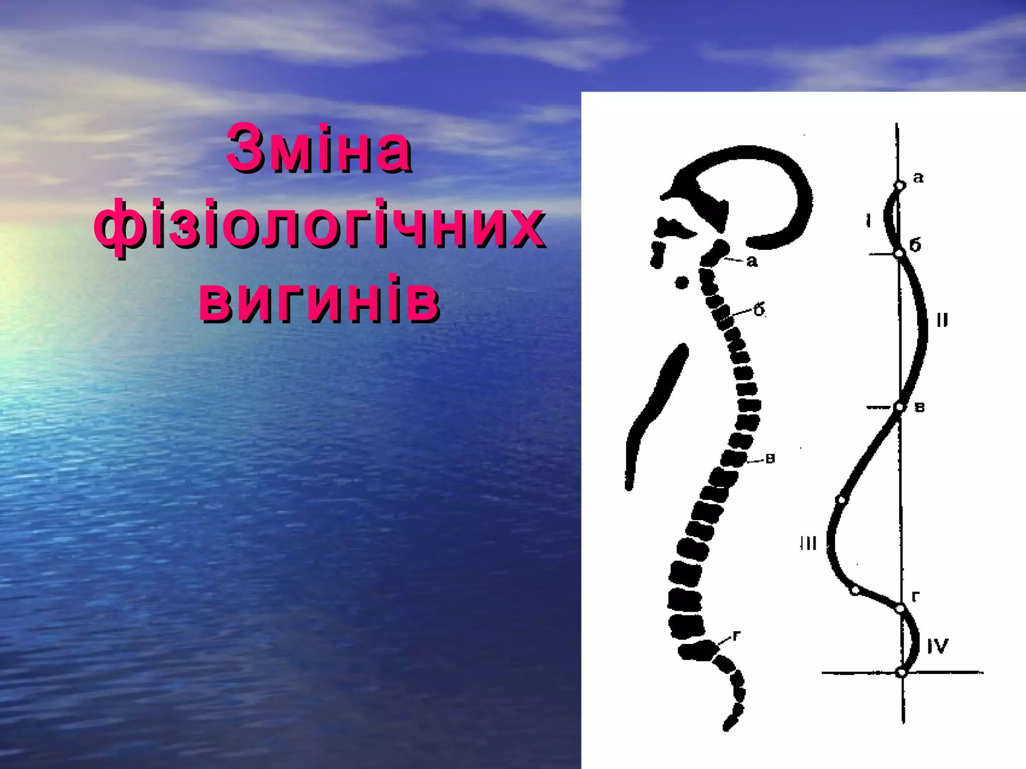 Зміна
фізіологічних
   вигинів
 