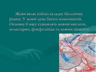 Жовч являє собою складну біологічну
рідину. У жовчі дуже багато компонентів.
Основну її масу становлять жовчні кислоти,
холестерин, фосфоліпіди та жовчні пігменти.
 