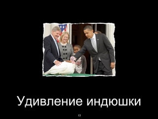 Удивление индюшки
        13
 