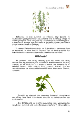 Είδη και καλλιέργεια βοτάνων




    Δεδομένου ότι είναι ελκυστικό και ανθεκτικό στην ξηρασία, το
δενδρολίβανο χρησιμοποιείται ως καλλωπιστικό φυτό σε κήπους. Μπορεί να
αναπτυχθεί αρκετά και να διατηρήσει την ελκυστικότητα του για πολλά χρόνια.
Κλαδεύεται σε επίσημα σχήματα πάνω σε χαμηλούς φράκτες και εύκολα
μπορεί να καλλιεργηθεί σε γλάστρες.

    Οι τρυφεροί βλαστοί και τα φύλλα του δενδρολίβανου χρησιμοποιούνται
ως αρωματικό σε πολλά φαγητά. Στα ψητά δίνει μια ιδιαίτερη γεύση. Στη
ζαχαροπλαστική το χρησιμοποιούν κυρίως στα γλυκά του κουταλιού.

                             ΜΑΪΝΤΑΝΟΣ

     O μαϊντανός είναι διετές, ιθαγενές φυτό που ανήκει στο γένος
Πετροσέλινον της οικογένειας των Σελινοειδών. Καλλιεργείται στις εύκρατες
περιοχές για τα φύλλα του που χρησιμοποιούνται στη μαγειρική και σε
διάφορες σαλάτες. Ήταν γνωστός στους αρχαίους Έλληνες που τον
χρησιμοποιούσαν ως αρωματικό βότανο αλλά και ως φάρμακο σε διάφορες
παθήσεις.




       Τα φύλλα του μαϊντανού είναι πλούσια σε βιταμίνη C, ενώ περιέχουν
και αιθέρια έλαια. Εκτός από φρέσκα μπορούν να χρησιμοποιηθούν και
αποξηραμένα.

       Στην Ελλάδα αλλά και σε άλλες ευρωπαϊκές χώρες χρησιμοποιείται
όχι μόνο ως συστατικό αλλά και ως διακοσμητικό σαλατών ή πιάτων κρέατος,


                                                                          11
 