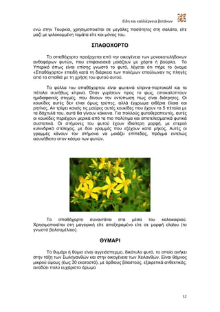 Είδη και καλλιέργεια βοτάνων

ενώ στην Τουρκία, χρησιμοποιείται σε μεγάλες ποσότητες στη σαλάτα, είτε
μαζί με ψιλοκομμένη τομάτα είτε και μόνος του.

                            ΣΠΑΘΟΧΟΡΤΟ

      Το σπαθόχορτο προέρχεται από την οικογένεια των μονοκοτυλήδονων
ανθοφόρων φυτών, που επιφανειακά μοιάζουν με χόρτα ή βούρλα. Το
Υπερικό όπως είναι επίσης γνωστό το φυτό, λέγεται ότι πήρε το όνομα
«Σπαθόχορτο» επειδή κατά τη διάρκεια των πολέμων επούλωναν τις πληγές
από τα σπαθιά με τη χρήση του φυτού αυτού.

       Τα φύλλα του σπαθόχορτου είναι φωτεινά κίτρινα-πορτοκαλί και τα
πέταλα συνήθως κίτρινα. Όταν γυρίσουν προς το φως, αποκαλύπτουν
ημιδιαφανείς στιγμές, που δίνουν την εντύπωση πως είναι διάτρητες. Οι
κουκίδες αυτές δεν είναι όμως τρύπες, αλλά έγχρωμα αιθέρια έλαια και
ρητίνες. Αν τρίψει κανείς τις μαύρες αυτές κουκίδες που έχουν τα 5 πέταλα με
τα δάχτυλά του, αυτά θα γίνουν κόκκινα. Για πολλούς φυτοθεραπευτές, αυτές
οι κουκίδες περιέχουν μερικά από τα πιο πολύτιμα και αποτελεσματικά φυτικά
συστατικά. Οι στήμονες του φυτού έχουν ιδιαίτερη μορφή, με στερεό
κυλινδρικό στέλεχος, με δύο γραμμές που εξέχουν κατά μήκος. Αυτές οι
γραμμές κάνουν τον στήμονα να μοιάζει επίπεδος, πράγμα εντελώς
ασυνήθιστο στον κόσμο των φυτών.




      Το   σπαθόχορτο      συναντάται   στα μέσα      του  καλοκαιριού.
Χρησιμοποιείται στη μαγειρική είτε αποξηραμένο είτε σε μορφή ελαίου (το
γνωστό βαλσαμέλαιο).

                                ΘΥΜΑΡΙ

      Το θυμάρι ή θύμιο είναι αγγειόσπερμο, δικότυλο φυτό, το οποίο ανήκει
στην τάξη των Σωληνανθών και στην οικογένεια των Χειλανθών. Είναι θάμνος
μικρού ύψους (έως 30 εκατοστά), με όρθιους βλαστούς, εξαιρετικά ανθεκτικός,
αναδύει πολύ ευχάριστο άρωμα




                                                                           12
 