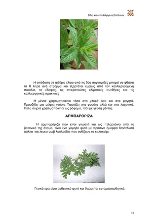 Είδη και καλλιέργεια βοτάνων




       Η απόδοση σε αιθέριο έλαιο από τις δύο συγκομιδές μπορεί να φθάσει
τα 8 λίτρα ανά στρέμμα και εξαρτάται κυρίως από την καλλιεργούμενη
ποικιλία, το έδαφος, τις επικρατούσες κλιματικές συνθήκες και τις
καλλιεργητικές πρακτικές

      Η μέντα χρησιμοποιείται τόσο στα γλυκά όσο και στα φαγητά.
Προσδίδει μια μέτρια γεύση. Ταιριάζει στα φρούτα αλλά και στα λαχανικά.
Πολύ συχνά χρησιμοποιείται ως ρόφημα, τσάι με γεύση μέντας.

                            ΑΡΜΠΑΡΟΡΙΖΑ

        Η αρμπαρόριζα που είναι γνωστή και ως πελαργόνιο από το
βοτανικό της όνομα, είναι ένα χαμηλό φυτό με πράσινα όμορφα δαντελωτά
φύλλα και λευκα-μωβ λουλούδια που ανθίζουν το καλοκαίρι.




       Γενικότερα είναι ανθεκτικό φυτό και θεωρείται εντομοαπωθητικό.




                                                                          15
 