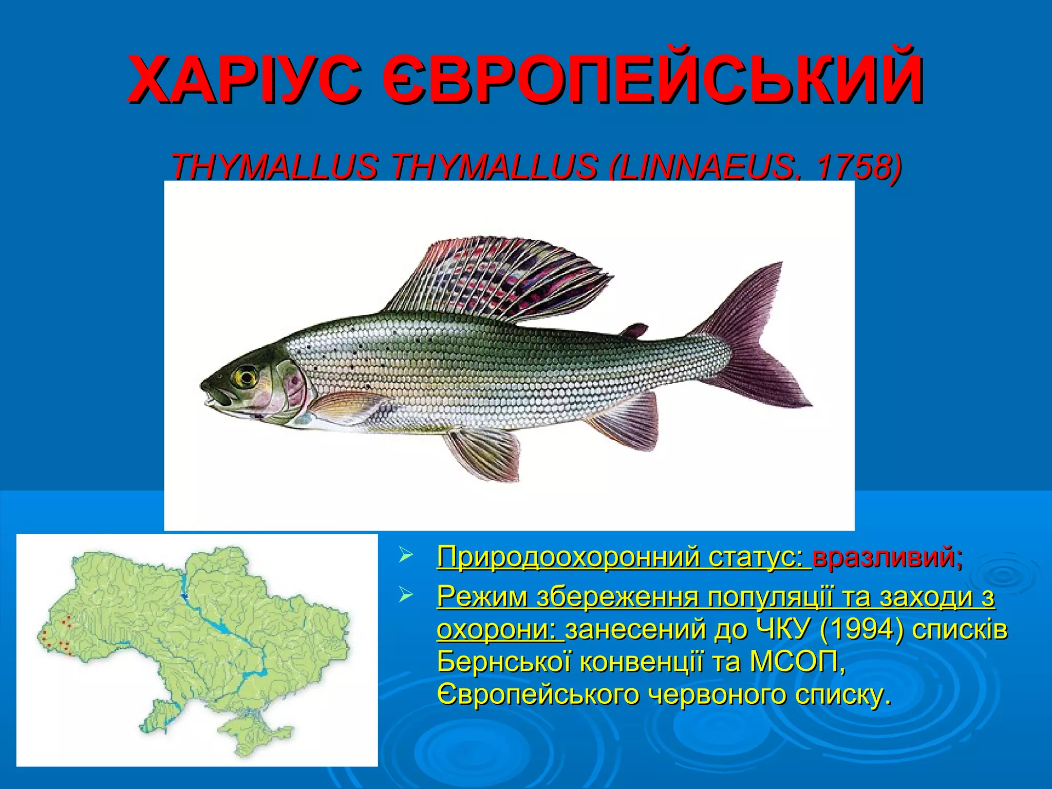 ХАРІУС ЄВРОПЕЙСЬКИЙ
THYMALLUS THYMALLUS (LINNAEUS, 1758)




            Природоохоронний статус: вразливий;
            Режим збереження популяції та заходи з
             охорони: занесений до ЧКУ (1994) списків
             Бернської конвенції та МСОП,
             Європейського червоного списку.
 