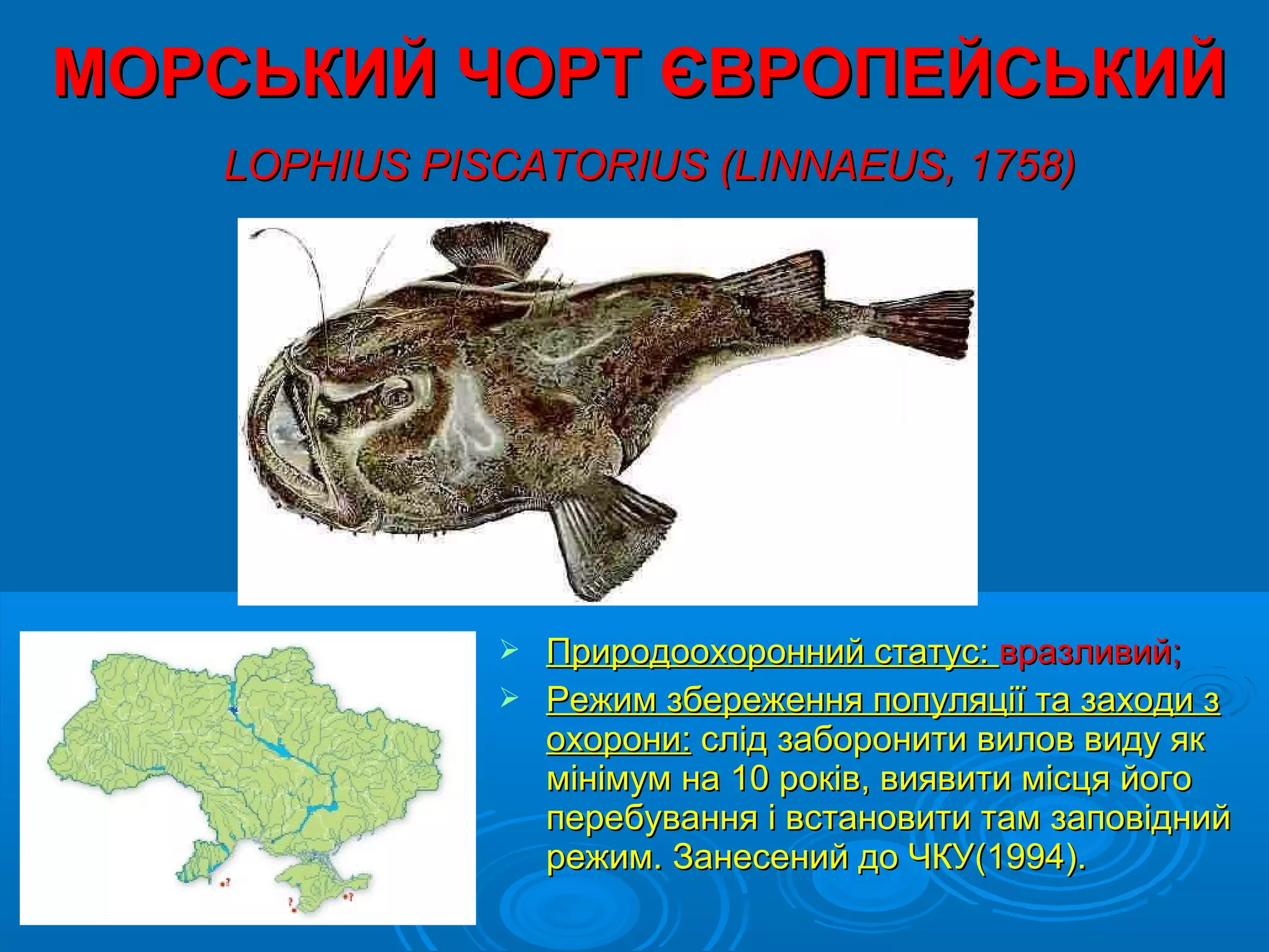 МОРСЬКИЙ ЧОРТ ЄВРОПЕЙСЬКИЙ
   LOPHIUS PISCATORIUS (LINNAEUS, 1758)




               Природоохоронний статус: вразливий;
               Режим збереження популяції та заходи з
                охорони: слід заборонити вилов виду як
                мінімум на 10 років, виявити місця його
                перебування і встановити там заповідний
                режим. Занесений до ЧКУ(1994).
 