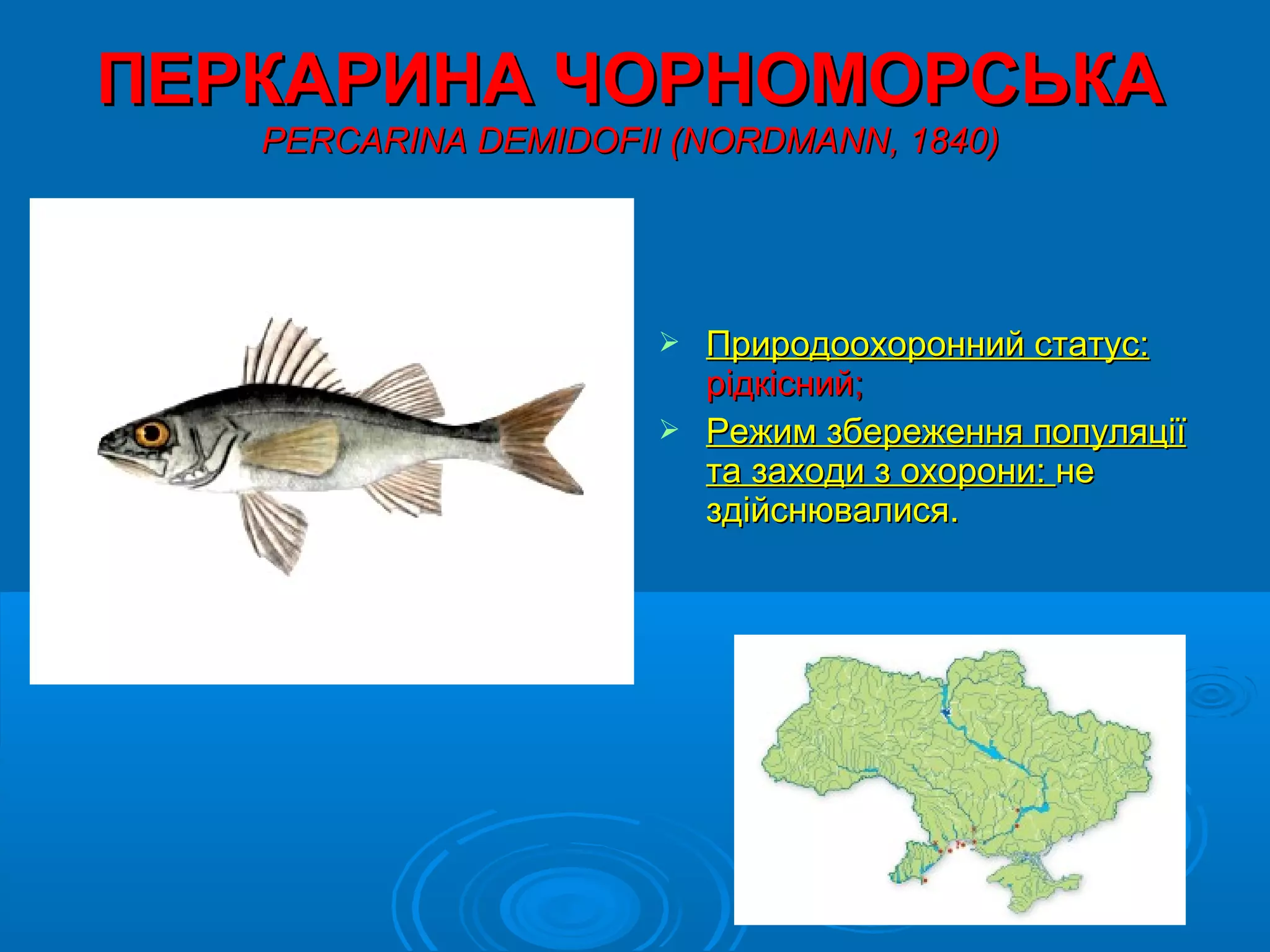 ПЕРКАРИНА ЧОРНОМОРСЬКА
   PERCARINA DEMIDOFІІ (NORDMANN, 1840)




                       Природоохоронний статус:
                        рідкісний;
                       Режим збереження популяції
                        та заходи з охорони: не
                        здійснювалися.
 