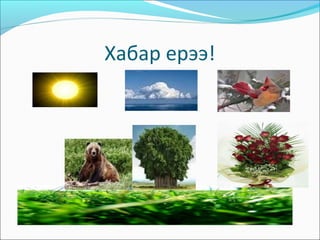 Хабар ерээ!
 