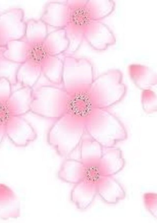 คอมน องใหม 