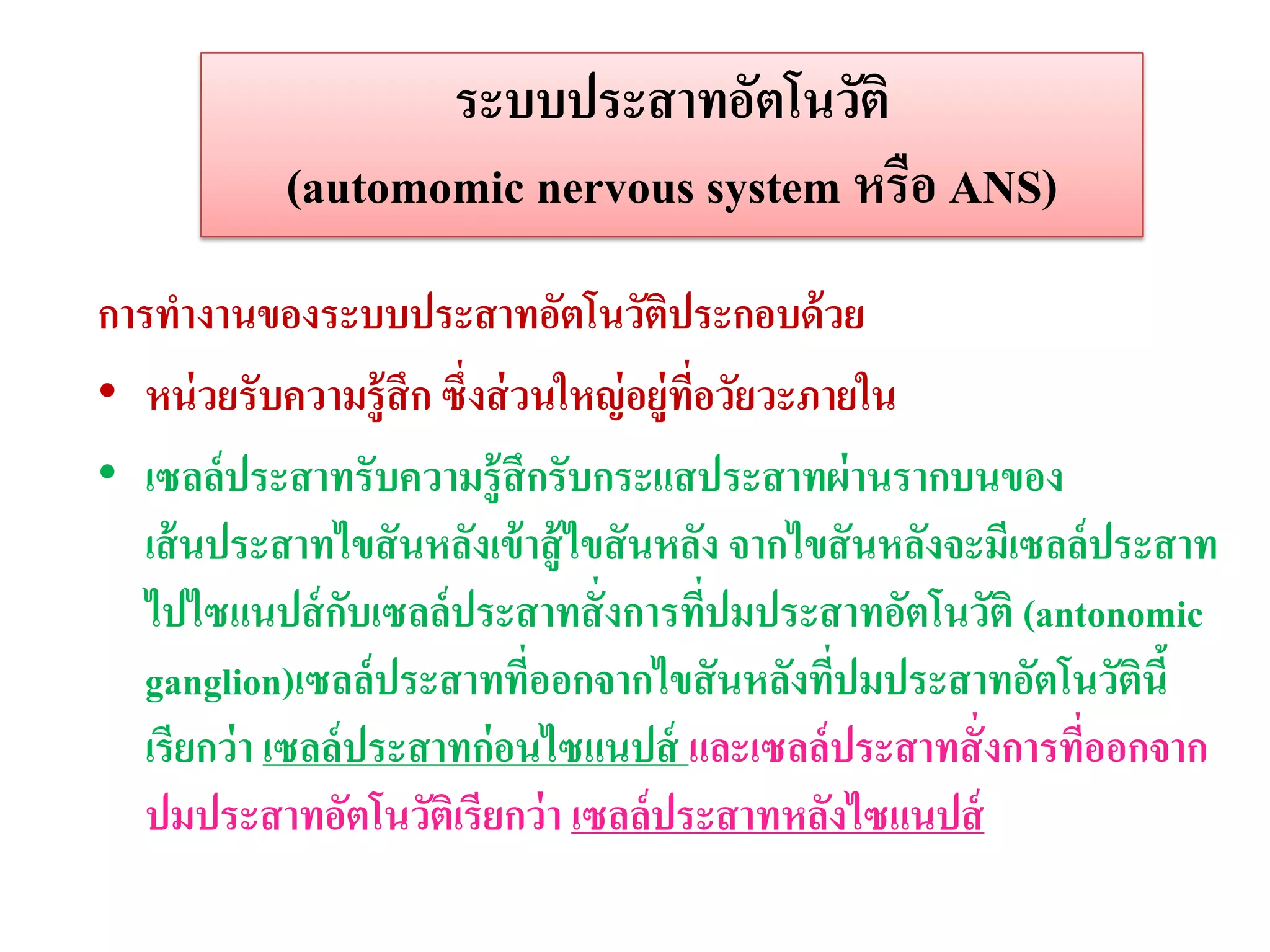 ระบบประสาทอัตโนวัติ
            (automomic nervous system หรือ ANS)
การทางานของระบบประสาทอัตโนวัติประกอบด้ วย
• หน่ วยรับความรู้สึก ซึ่งส่ วนใหญ่ อยู่ทอวัยวะภายใน
                                         ่ี
• เซลล์ประสาทรับความรู้สึกรับกระแสประสาทผ่ านรากบนของ
   เส้ นประสาทไขสั นหลังเข้ าสู้ ไขสั นหลัง จากไขสั นหลังจะมีเซลล์ประสาท
   ไปไซแนปส์ กบเซลล์ประสาทสั่ งการทีปมประสาทอัตโนวัติ (antonomic
                   ั                        ่
   ganglion)เซลล์ประสาทที่ออกจากไขสั นหลังทีปมประสาทอัตโนวัตินี้
                                                 ่
   เรียกว่ า เซลล์ ประสาทก่อนไซแนปส์ และเซลล์ประสาทสั่ งการทีออกจาก
                                                                 ่
   ปมประสาทอัตโนวัติเรียกว่ า เซลล์ประสาทหลังไซแนปส์
 