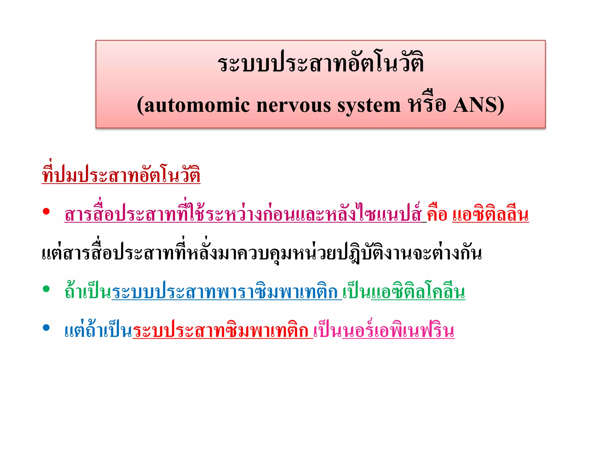 ระบบประสาทอัตโนวัติ
            (automomic nervous system หรือ ANS)

ที่ปมประสาทอัตโนวัติ
• สารสื่ อประสาทที่ใช้ ระหว่ างก่อนและหลังไซแนปส์ คือ แอซิติลลีน
แต่ สารสื่ อประสาททีหลังมาควบคุมหน่ วยปฎิบัตงานจะต่ างกัน
                    ่ ่                      ิ
• ถ้ าเป็ นระบบประสาทพาราซิมพาเทติก เป็ นแอซิติลโคลีน
• แต่ ถ้าเป็ นระบประสาทซิมพาเทติก เป็ นนอร์ เอพิเนฟริน
 