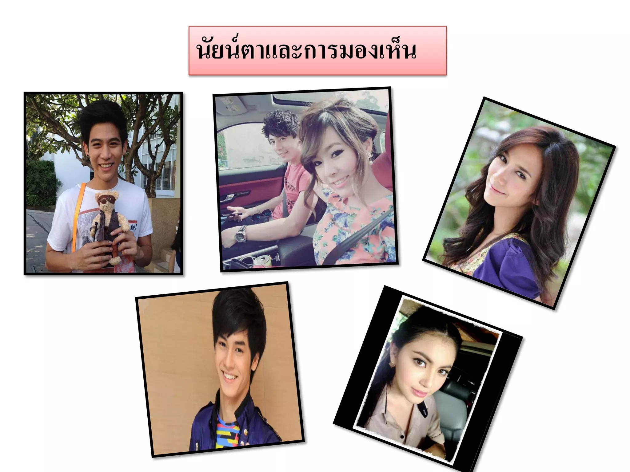 นัยน์ ตาและการมองเห็น
 