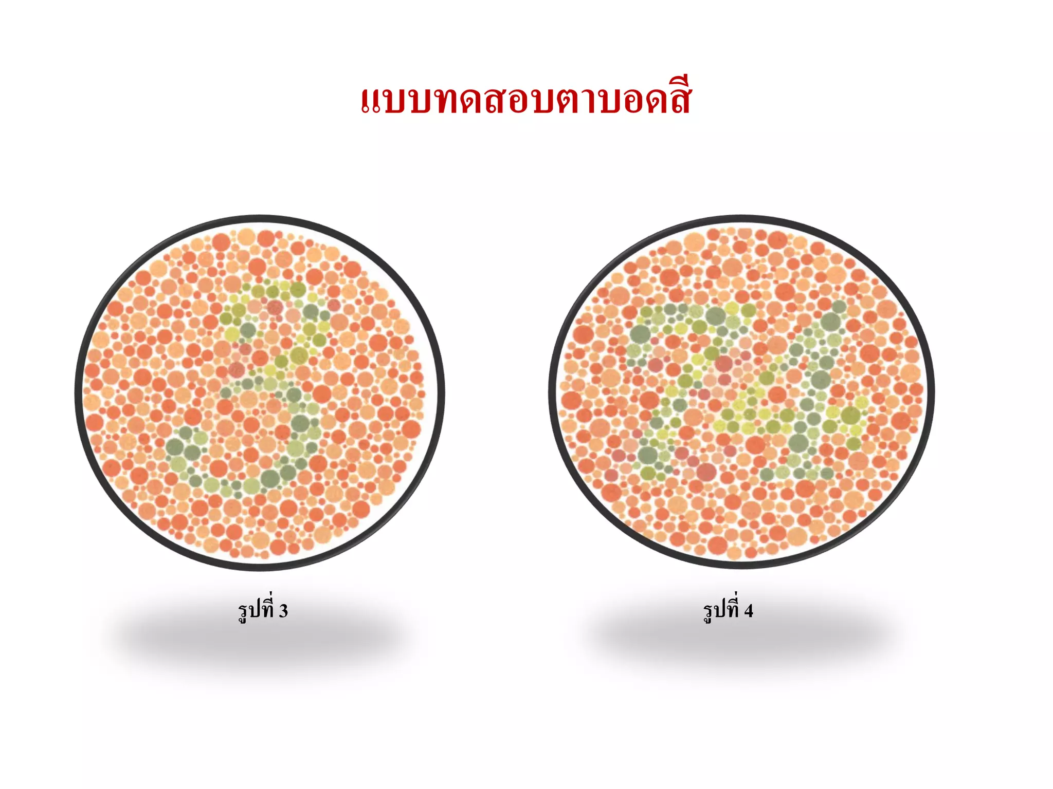 แบบทดสอบตาบอดสี




รูปที่ 3                     รูปที่ 4
 