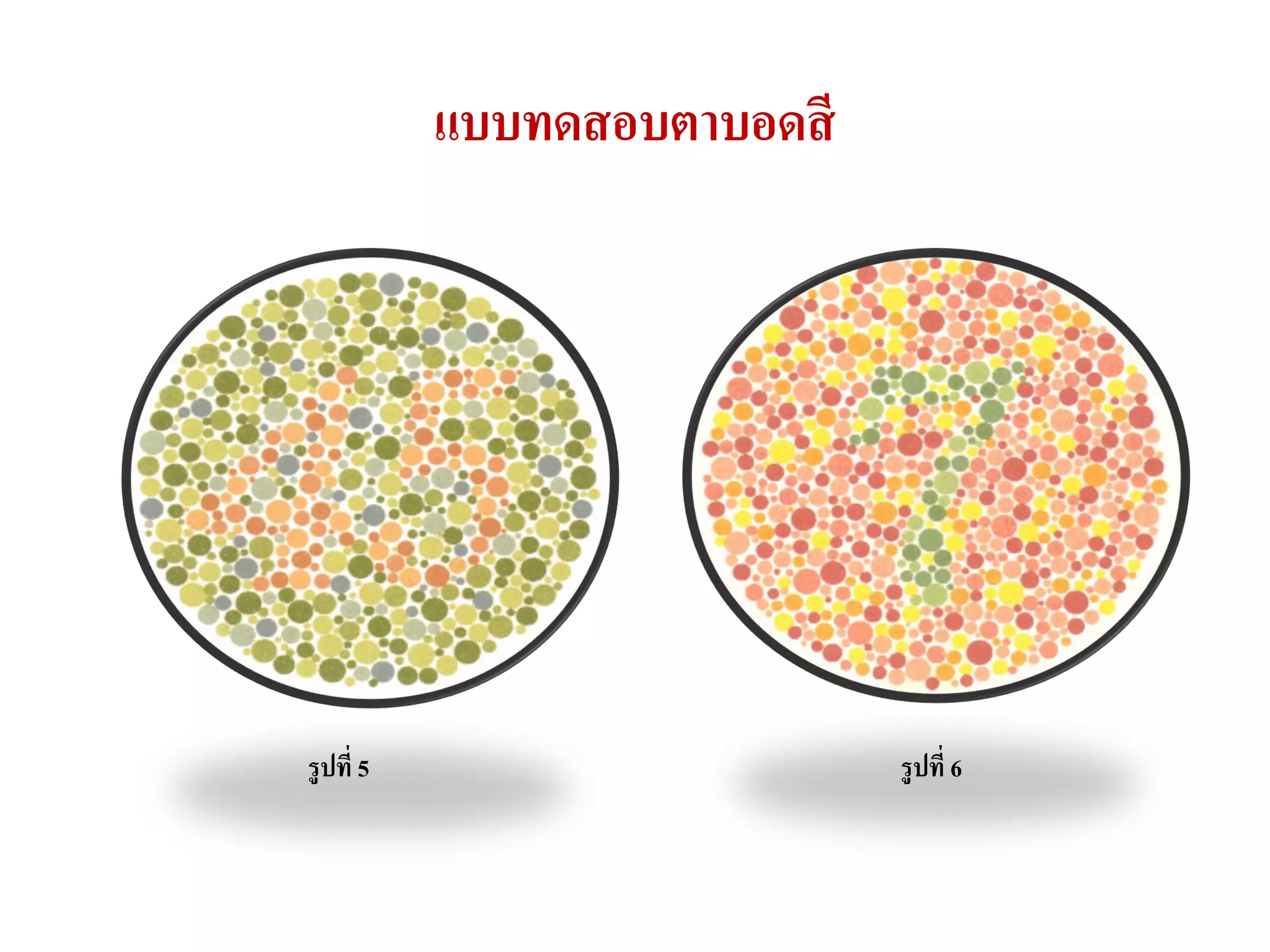 แบบทดสอบตาบอดสี




รูปที่ 5                     รูปที่ 6
 