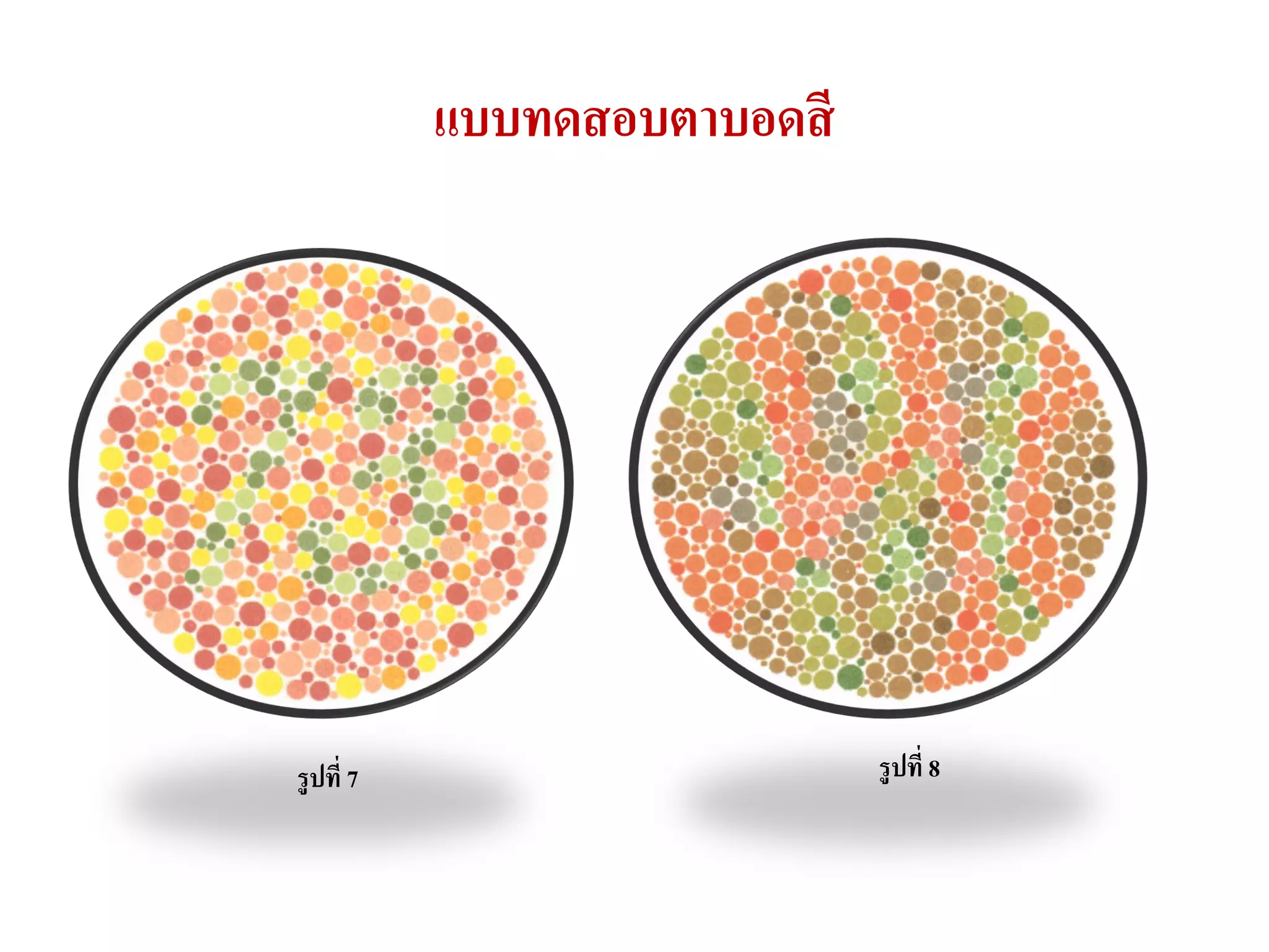 แบบทดสอบตาบอดสี




รูปที่ 7                     รูปที่ 8
 
