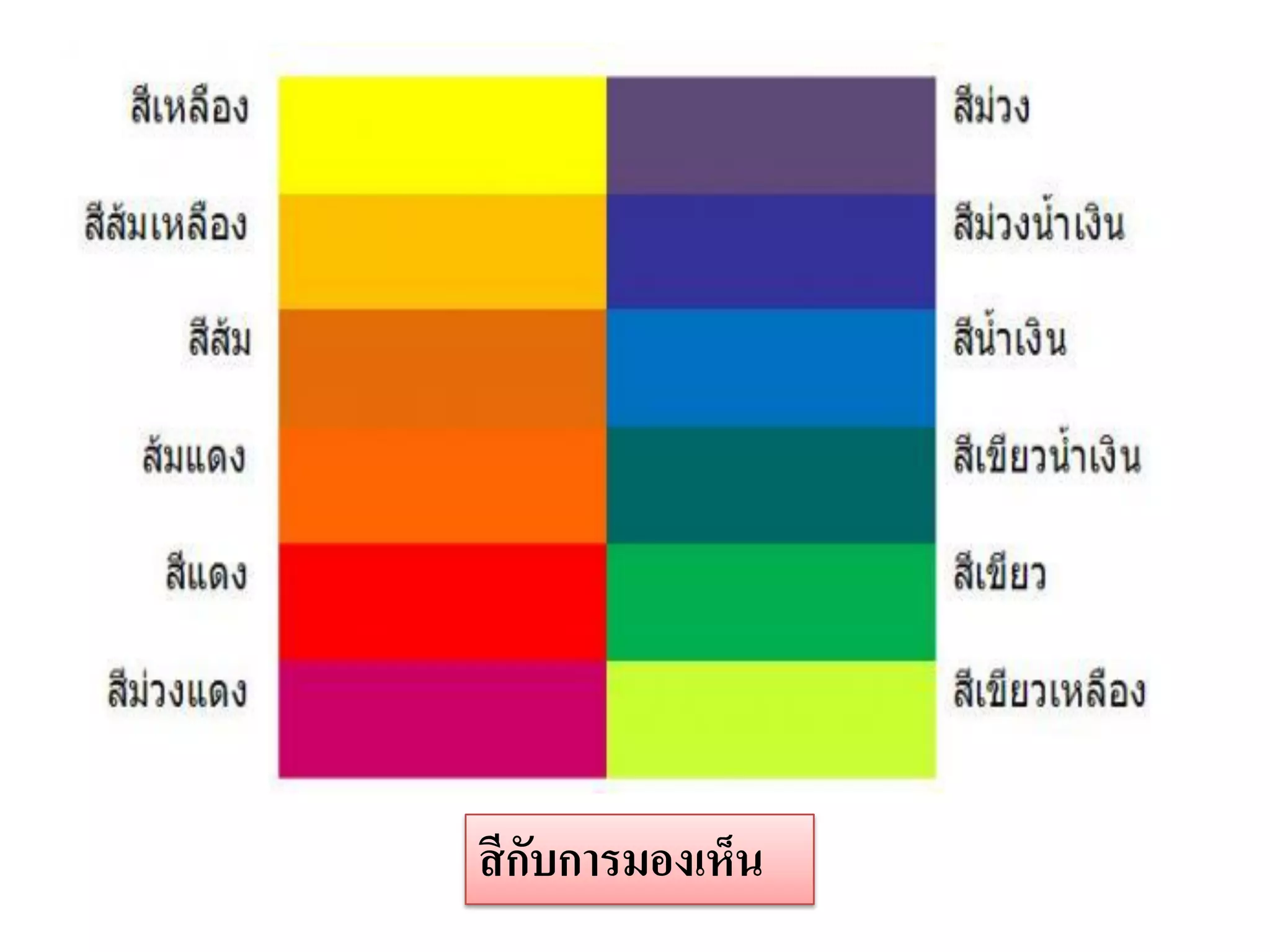 สี กบการมองเห็น
    ั
 