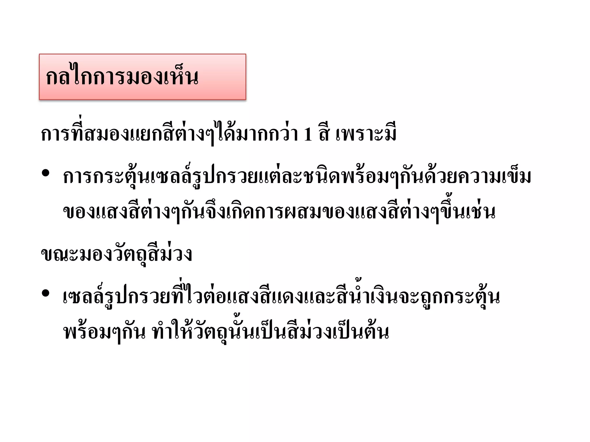กลไกการมองเห็น
การที่สมองแยกสี ต่างๆได้ มากกว่ า 1 สี เพราะมี
• การกระตุ้นเซลล์ รูปกรวยแต่ ละชนิดพร้ อมๆกันด้ วยความเข็ม
  ของแสงสี ต่างๆกันจึงเกิดการผสมของแสงสี ต่างๆขึนเช่ น
                                                  ้
ขณะมองวัตถุสีม่วง
• เซลล์ รูปกรวยทีไวต่ อแสงสี แดงและสี นาเงินจะถูกกระตุ้น
                 ่                          ้
  พร้ อมๆกัน ทาให้ วตถุน้ันเป็ นสี ม่วงเป็ นต้ น
                    ั
 