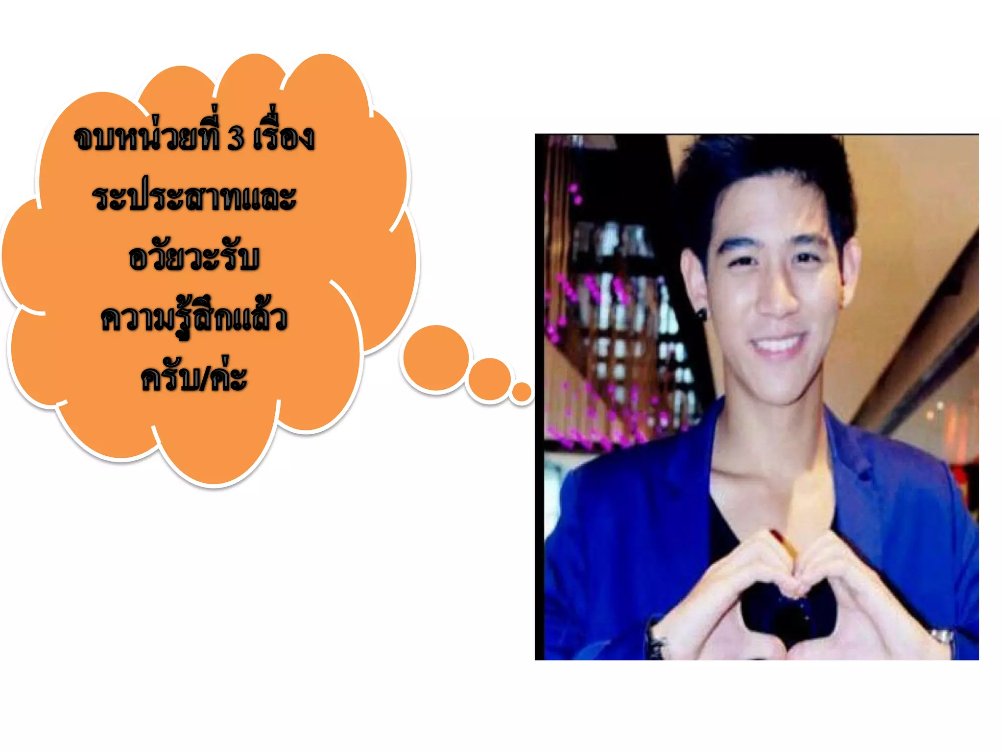 ระบบประสาทและอวัยวะรับความรู้สึก