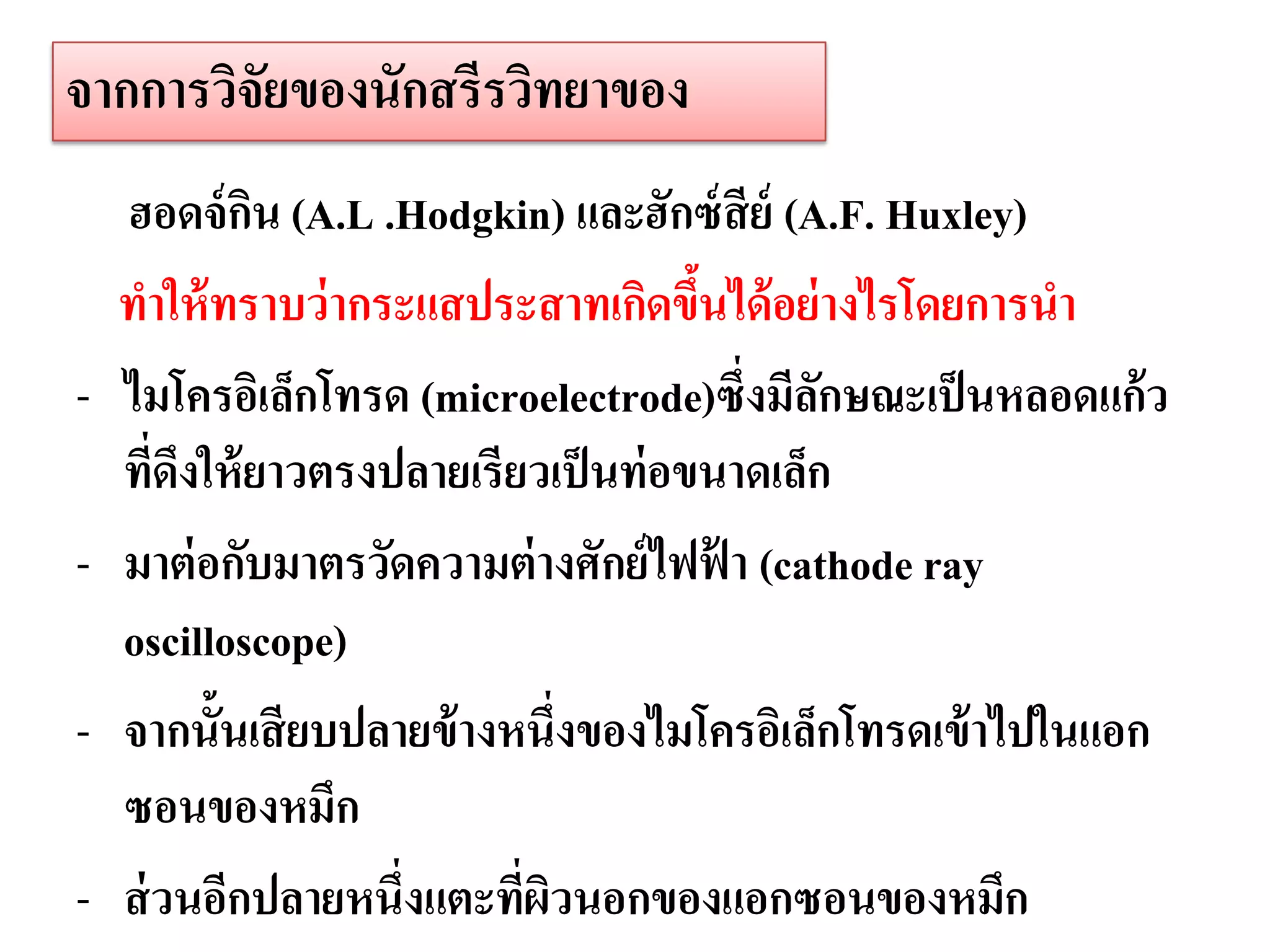 จากการวิจัยของนักสรีรวิทยาของ
    ฮอดจ์ กน (A.L .Hodgkin) และฮักซ์ สีย์ (A.F. Huxley)
             ิ
    ทาให้ ทราบว่ ากระแสประสาทเกิดขึนได้ อย่ างไรโดยการนา
                                      ้
-   ไมโครอิเล็กโทรด (microelectrode)ซึ่งมีลกษณะเป็ นหลอดแก้ว
                                             ั
    ที่ดงให้ ยาวตรงปลายเรียวเป็ นท่ อขนาดเล็ก
        ึ
-   มาต่ อกับมาตรวัดความต่ างศักย์ ไฟฟ้ า (cathode ray
    oscilloscope)
-   จากนั้นเสี ยบปลายข้ างหนึ่งของไมโครอิเล็กโทรดเข้ าไปในแอก
    ซอนของหมึก
-   ส่ วนอีกปลายหนึ่งแตะที่ผวนอกของแอกซอนของหมึก
                            ิ
 