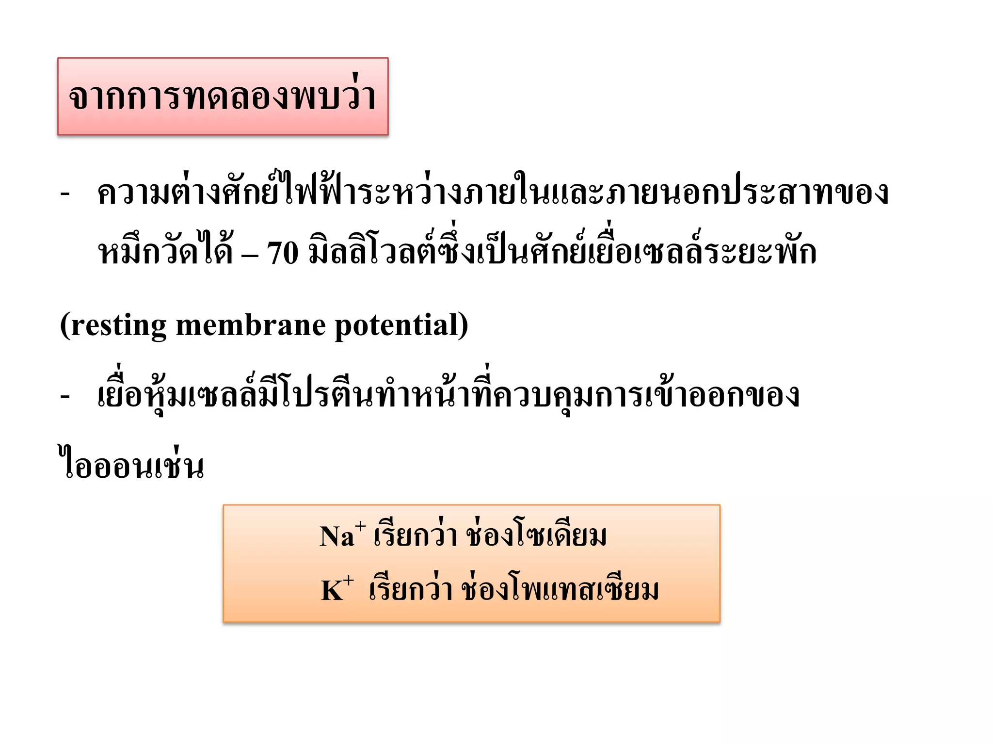 จากการทดลองพบว่ า
- ความต่ างศักย์ ไฟฟาระหว่ างภายในและภายนอกประสาทของ
                     ้
   หมึกวัดได้ – 70 มิลลิโวลต์ ซึ่งเป็ นศักย์ เยือเซลล์ ระยะพัก
                                                ่
(resting membrane potential)
- เยือหุ้มเซลล์มีโปรตีนทาหน้ าทีควบคุมการเข้ าออกของ
     ่                              ่
ไอออนเช่ น
                   Na+ เรียกว่ า ช่ องโซเดียม
                   K+ เรียกว่ า ช่ องโพแทสเซียม
 