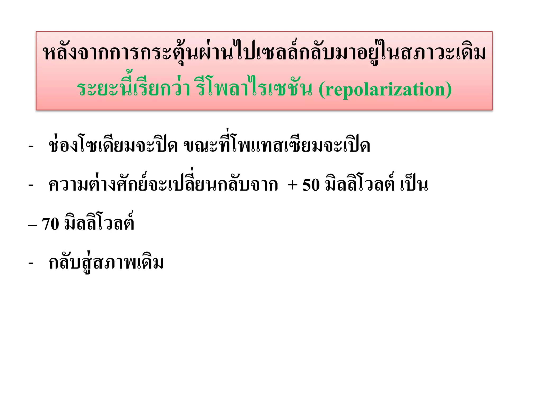 หลังจากการกระตุ้นผ่ านไปเซลล์ กลับมาอยู่ในสภาวะเดิม
     ระยะนีเ้ รียกว่ า รีโพลาไรเซชัน (repolarization)
- ช่ องโซเดียมจะปิ ด ขณะทีโพแทสเซียมจะเปิ ด
                          ่
- ความต่ างศักย์ จะเปลียนกลับจาก + 50 มิลลิโวลต์ เป็ น
                       ่
– 70 มิลลิโวลต์
- กลับสู่ สภาพเดิม
 