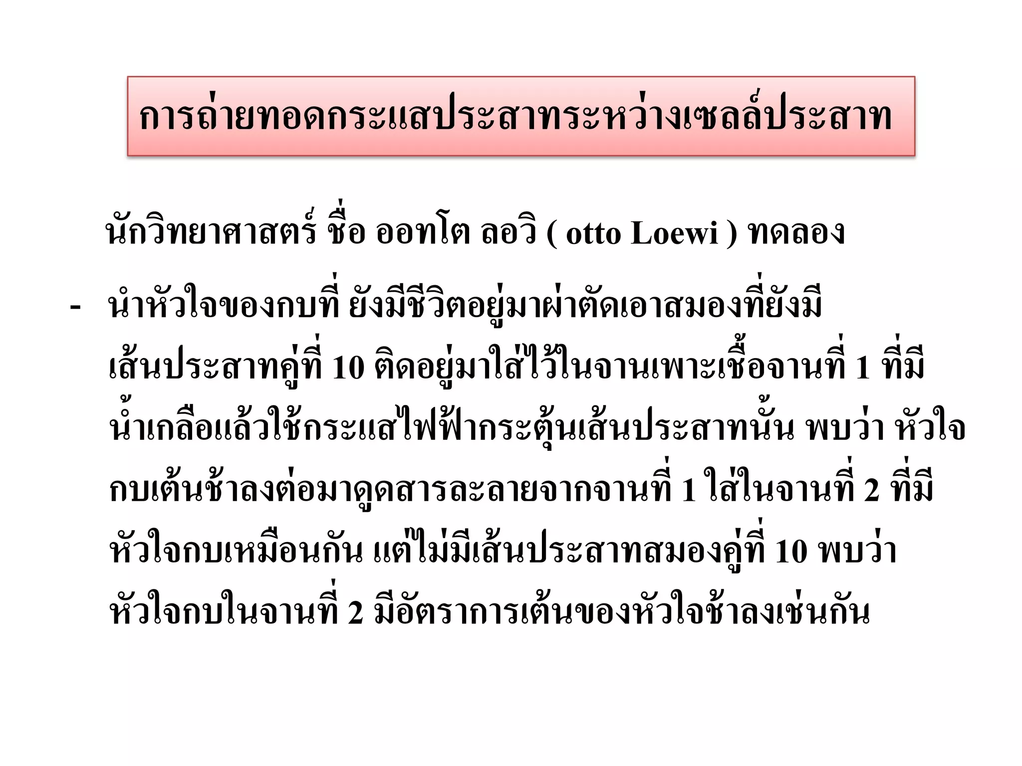 การถ่ ายทอดกระแสประสาทระหว่างเซลล์ ประสาท

  นักวิทยาศาสตร์ ชื่อ ออทโต ลอวิ ( otto Loewi ) ทดลอง
- นาหัวใจของกบที่ ยังมีชีวตอยู่มาผ่ าตัดเอาสมองทียงมี
                            ิ                         ่ั
  เส้ นประสาทคู่ที่ 10 ติดอยู่มาใส่ ไว้ ในจานเพาะเชื้อจานที่ 1 ทีมี
                                                                 ่
  นาเกลือแล้ วใช้ กระแสไฟฟากระตุ้นเส้ นประสาทนั้น พบว่ า หัวใจ
    ้                         ้
  กบเต้ นช้ าลงต่ อมาดูดสารละลายจากจานที่ 1 ใส่ ในจานที่ 2 ทีมี    ่
  หัวใจกบเหมือนกัน แต่ ไม่ มีเส้ นประสาทสมองคู่ที่ 10 พบว่ า
  หัวใจกบในจานที่ 2 มีอตราการเต้ นของหัวใจช้ าลงเช่ นกัน
                          ั
 