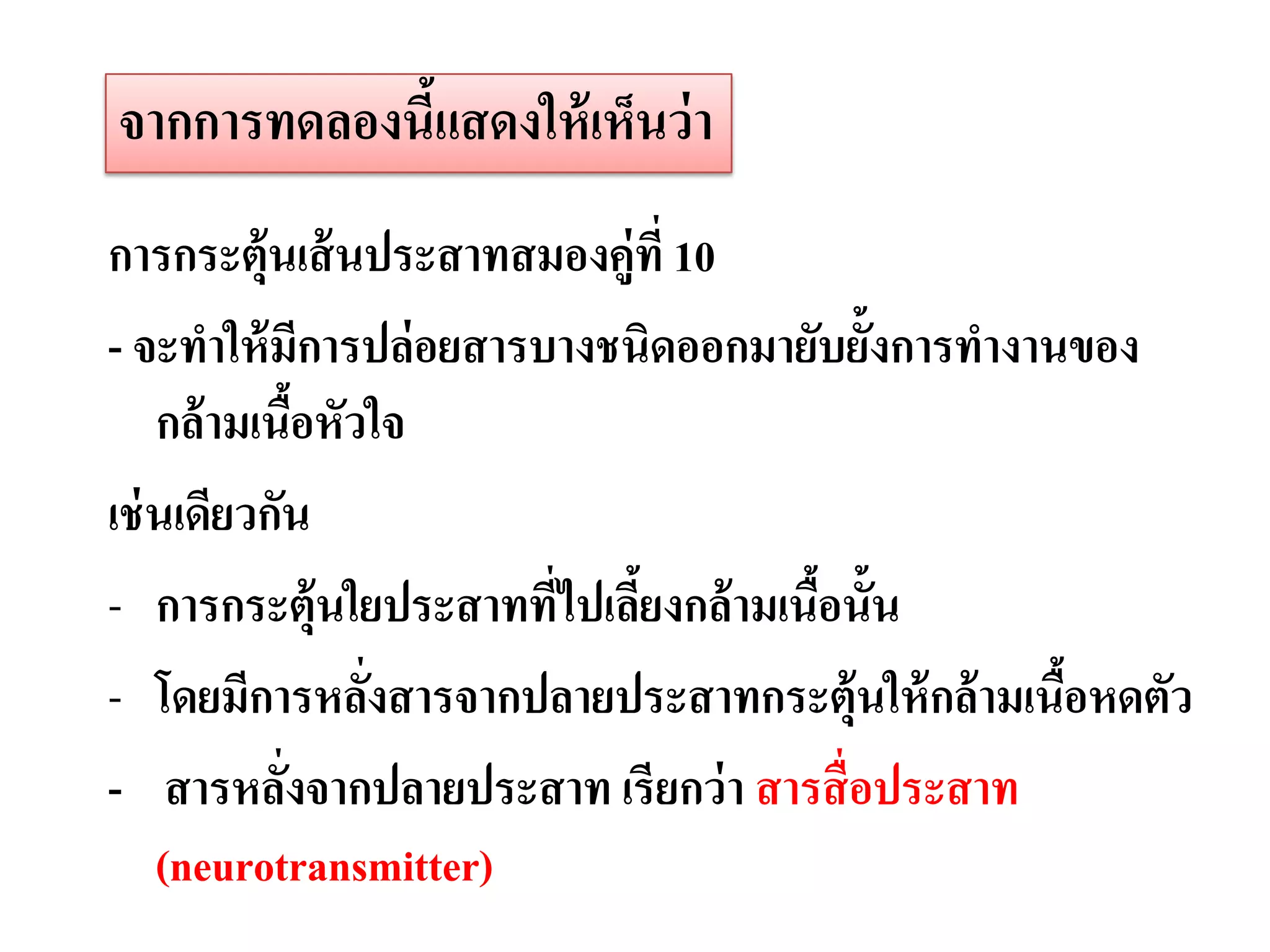 จากการทดลองนีแสดงให้ เห็นว่ า
             ้
การกระตุ้นเส้ นประสาทสมองคู่ที่ 10
- จะทาให้ มีการปล่ อยสารบางชนิดออกมายับยั้งการทางานของ
    กล้ ามเนือหัวใจ
              ้
เช่ นเดียวกัน
- การกระตุ้นใยประสาทที่ไปเลียงกล้ ามเนือนั้น
                             ้         ้
- โดยมีการหลังสารจากปลายประสาทกระตุ้นให้ กล้ ามเนือหดตัว
                 ่                                 ้
- สารหลังจากปลายประสาท เรียกว่ า สารสื่ อประสาท
            ่
    (neurotransmitter)
 